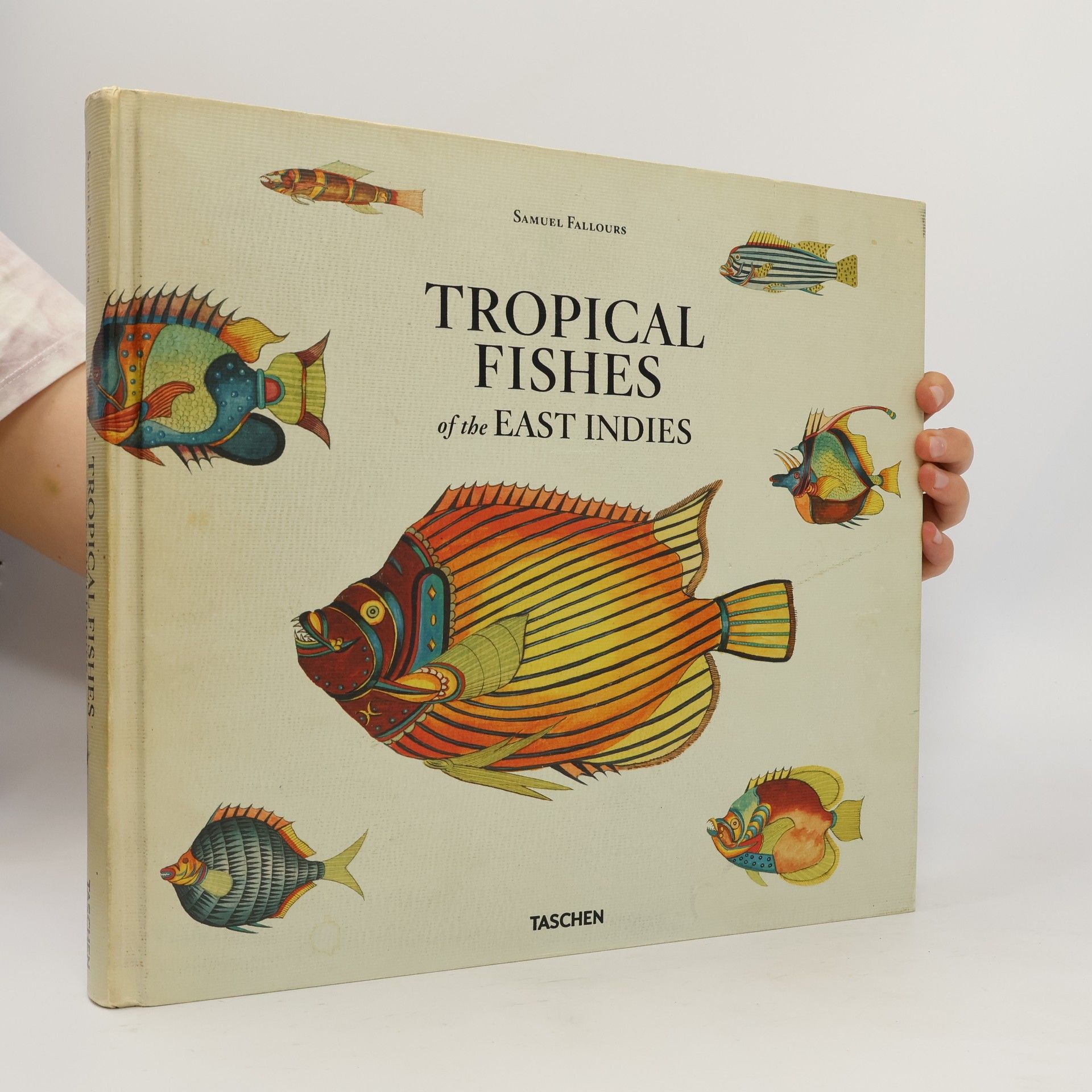 Samuel Fallours Tropical Fishes