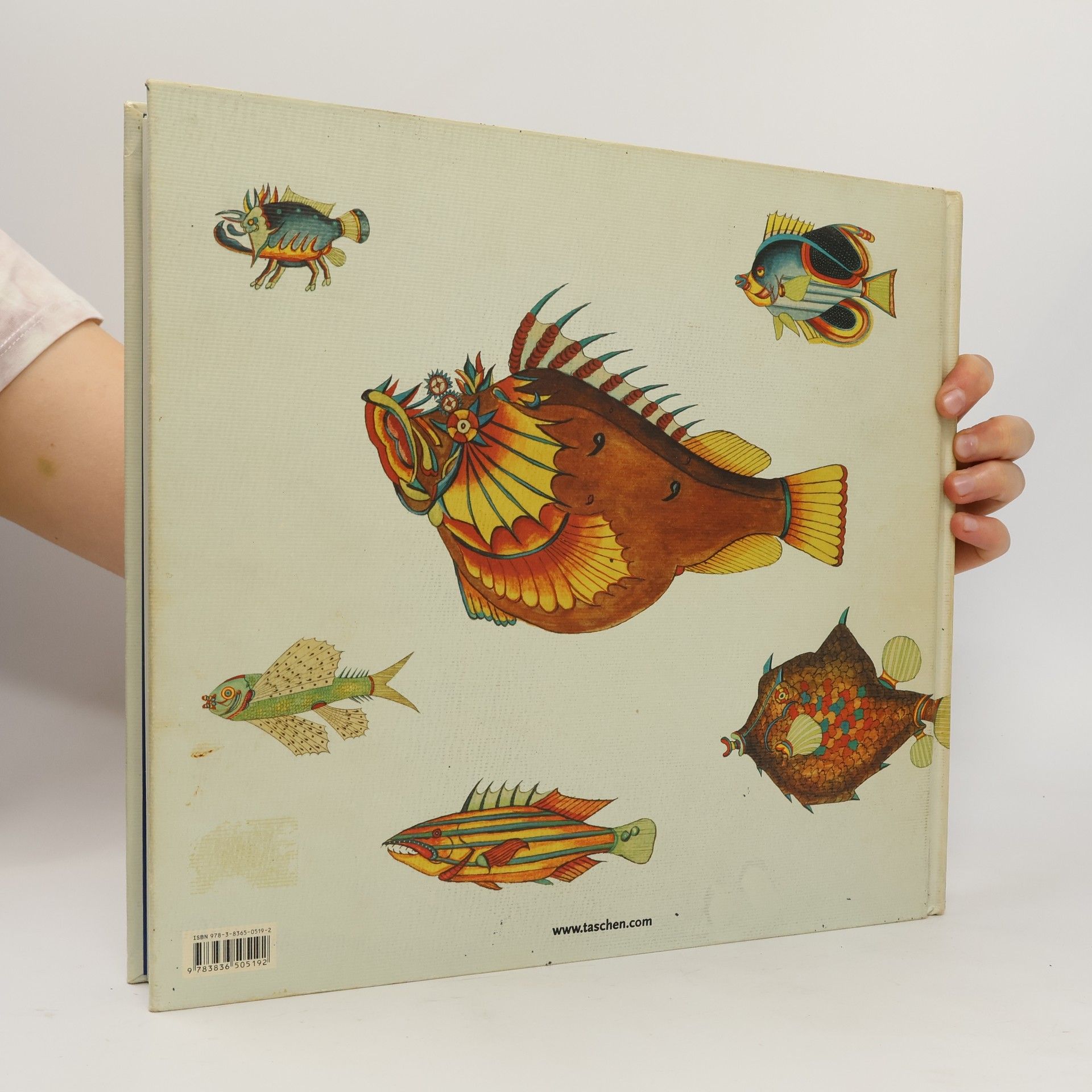 Samuel Fallours Tropical Fishes