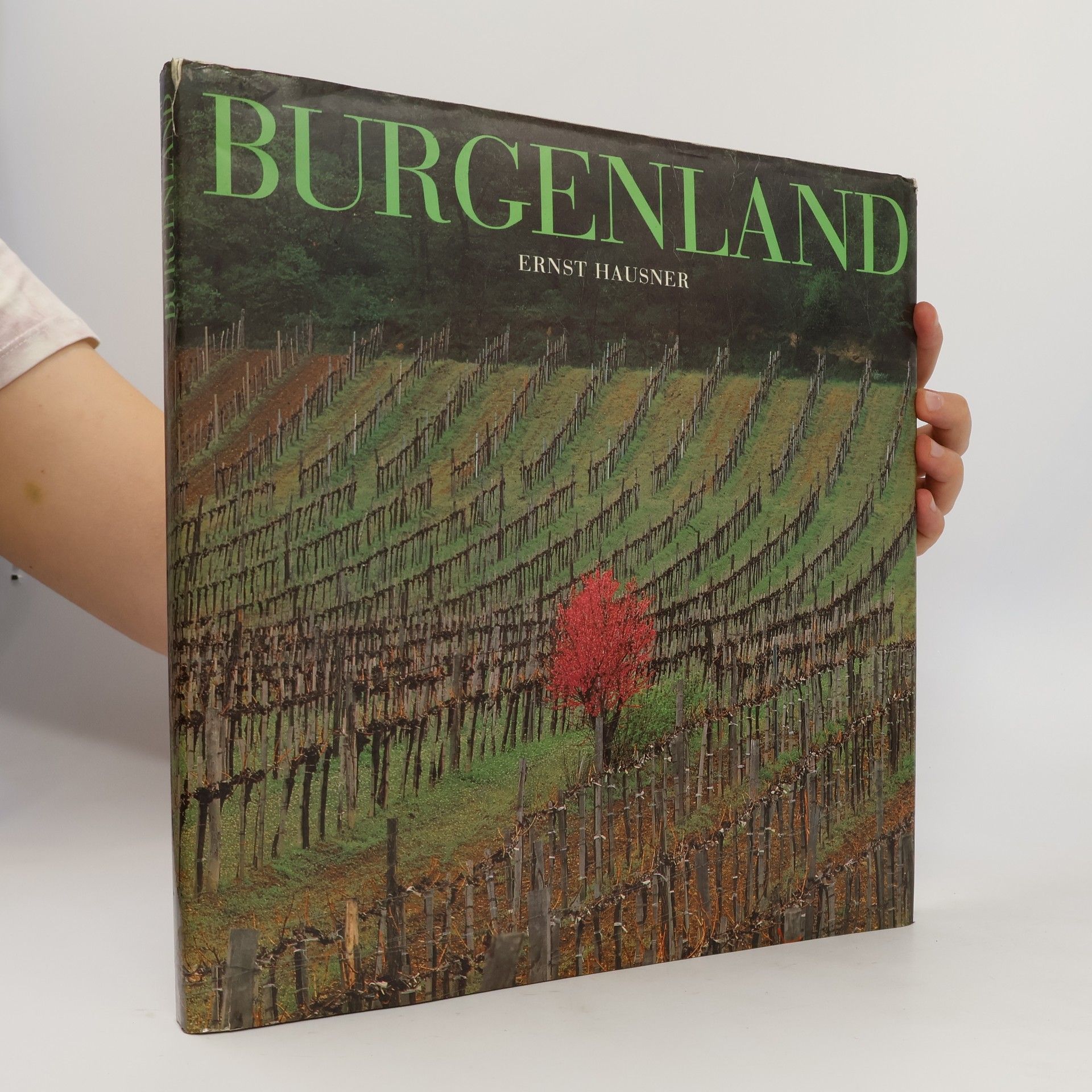 Ernst Hausner Burgenland