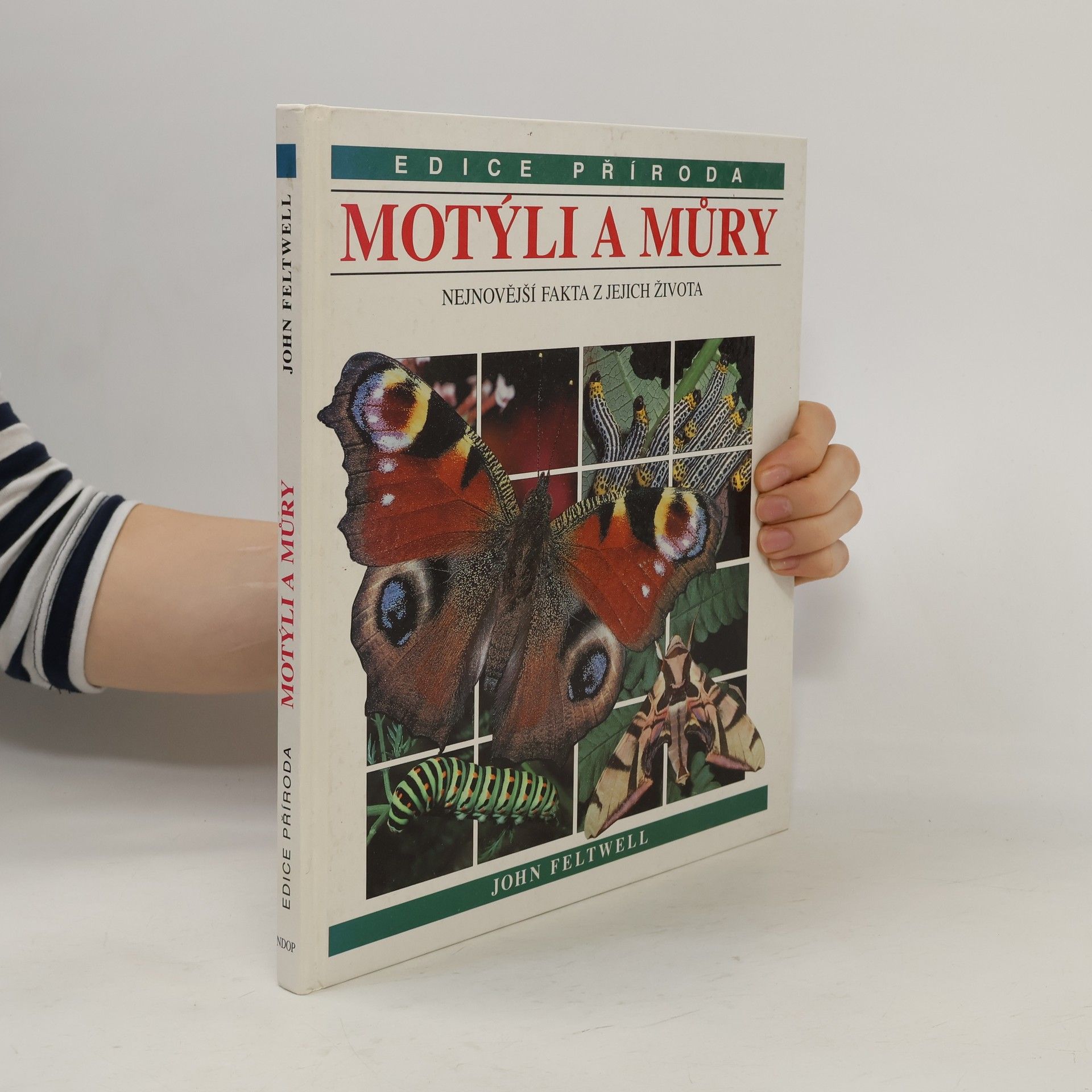 John Feltwell Motýli a můry