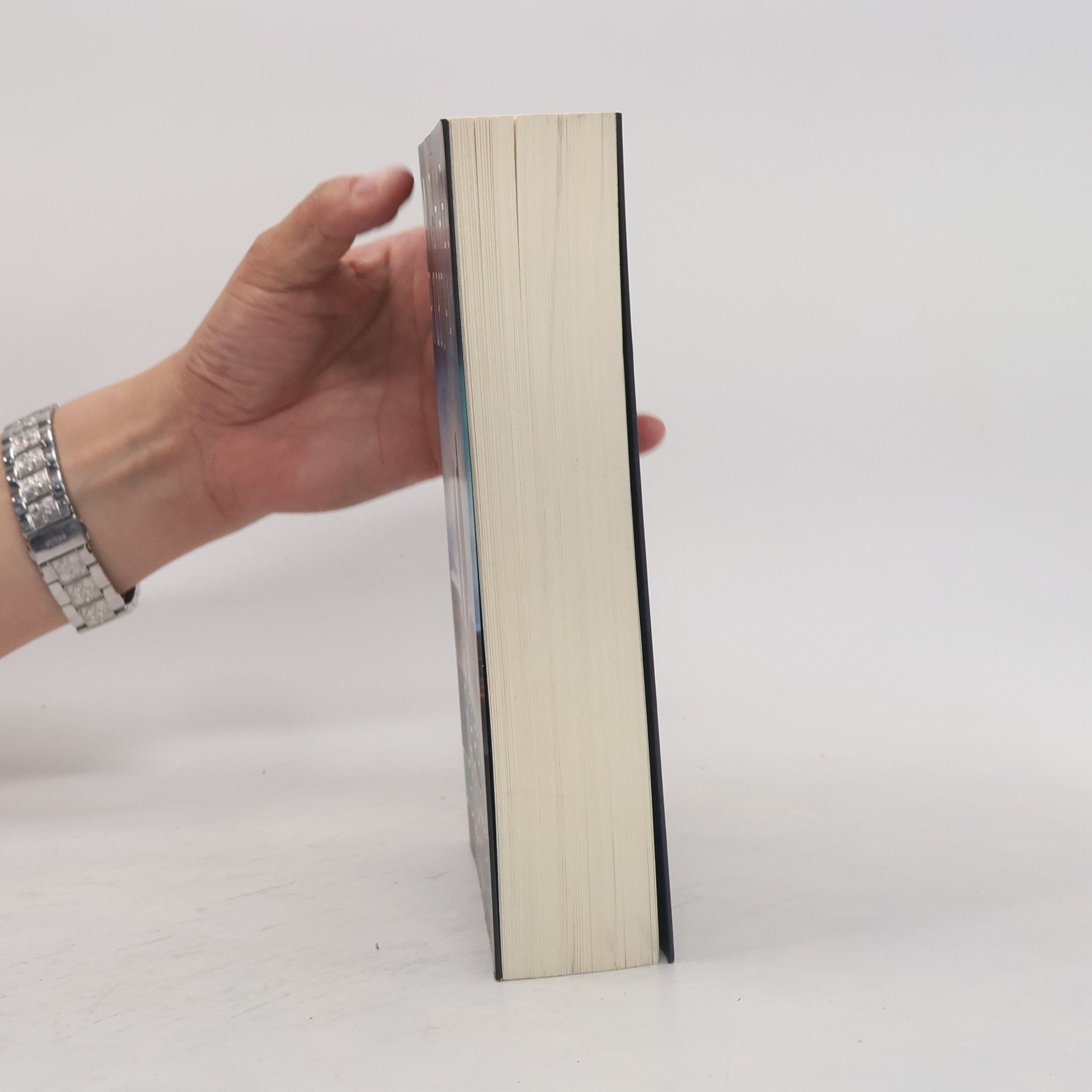 Michael Robotham Fürchte die Schatten
