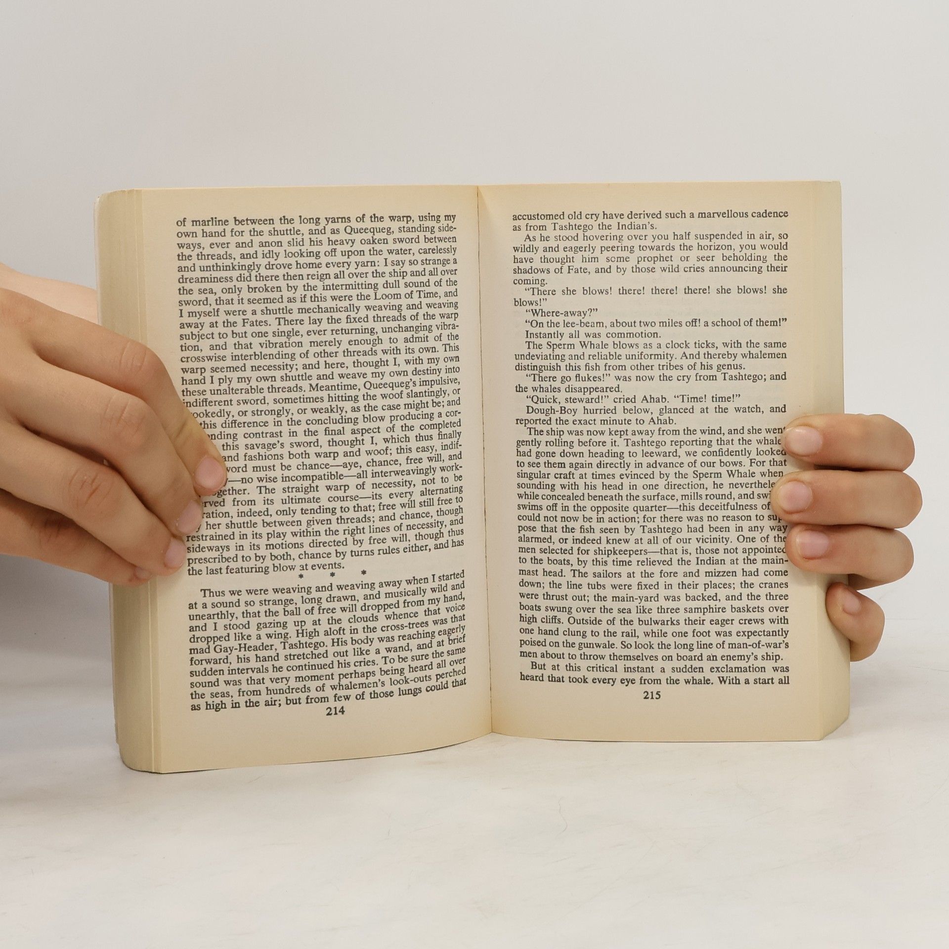 Herman Melville Moby Dick