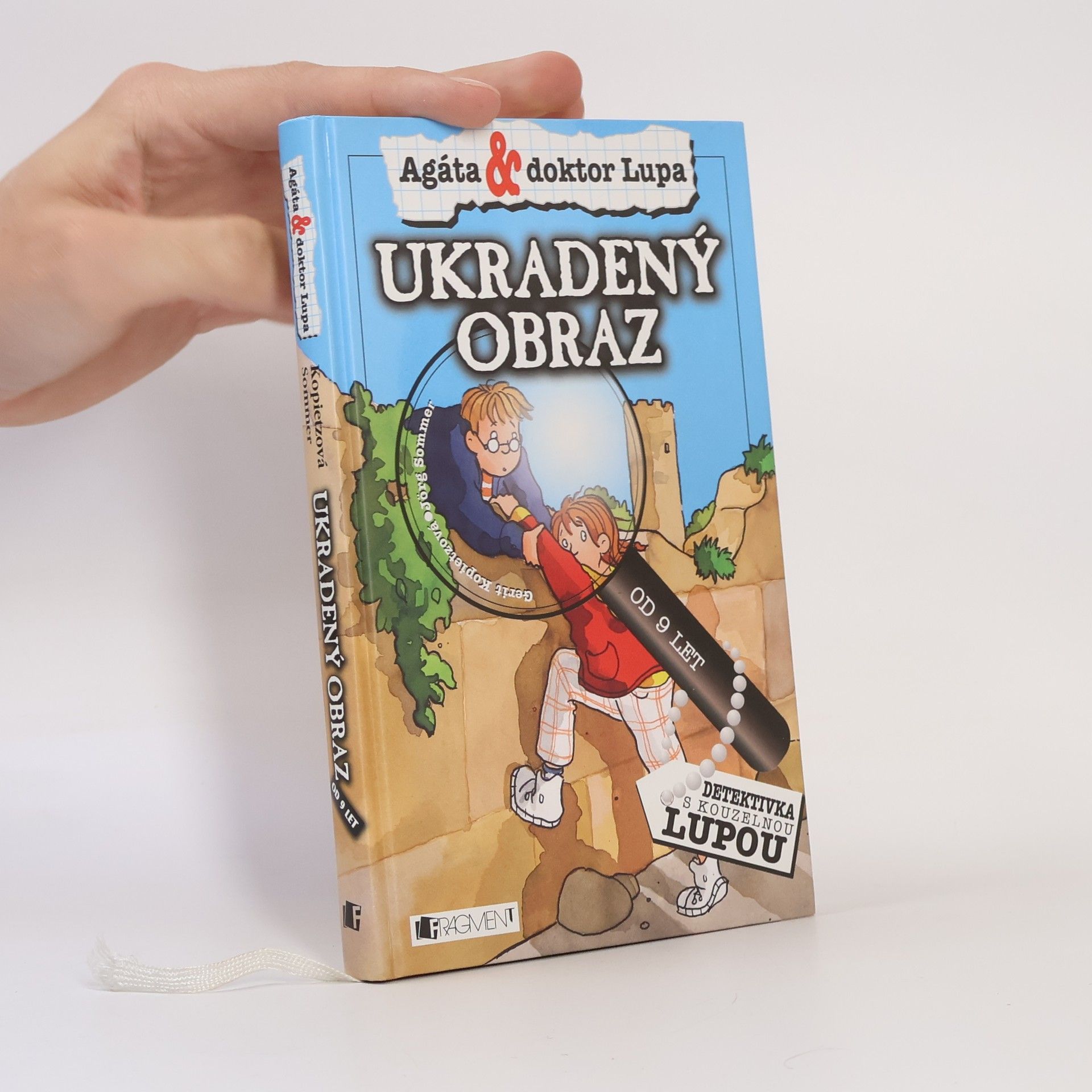 Jörg Sommer Ukradený obraz