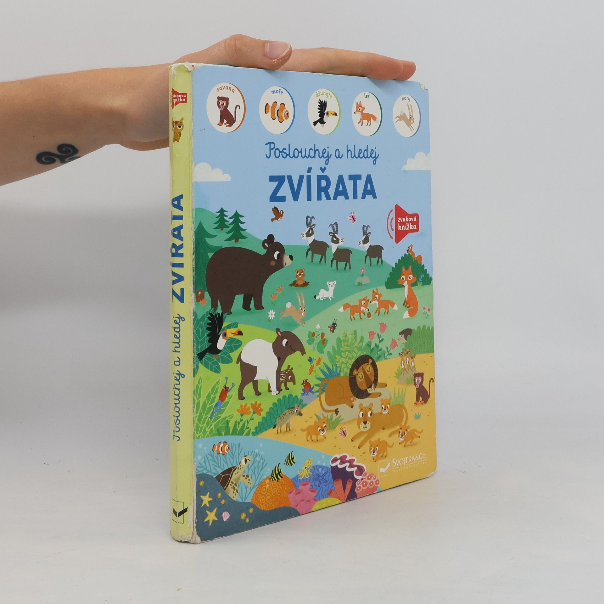 Autorenkollektiv Zvířata - Poslouchej a hledej