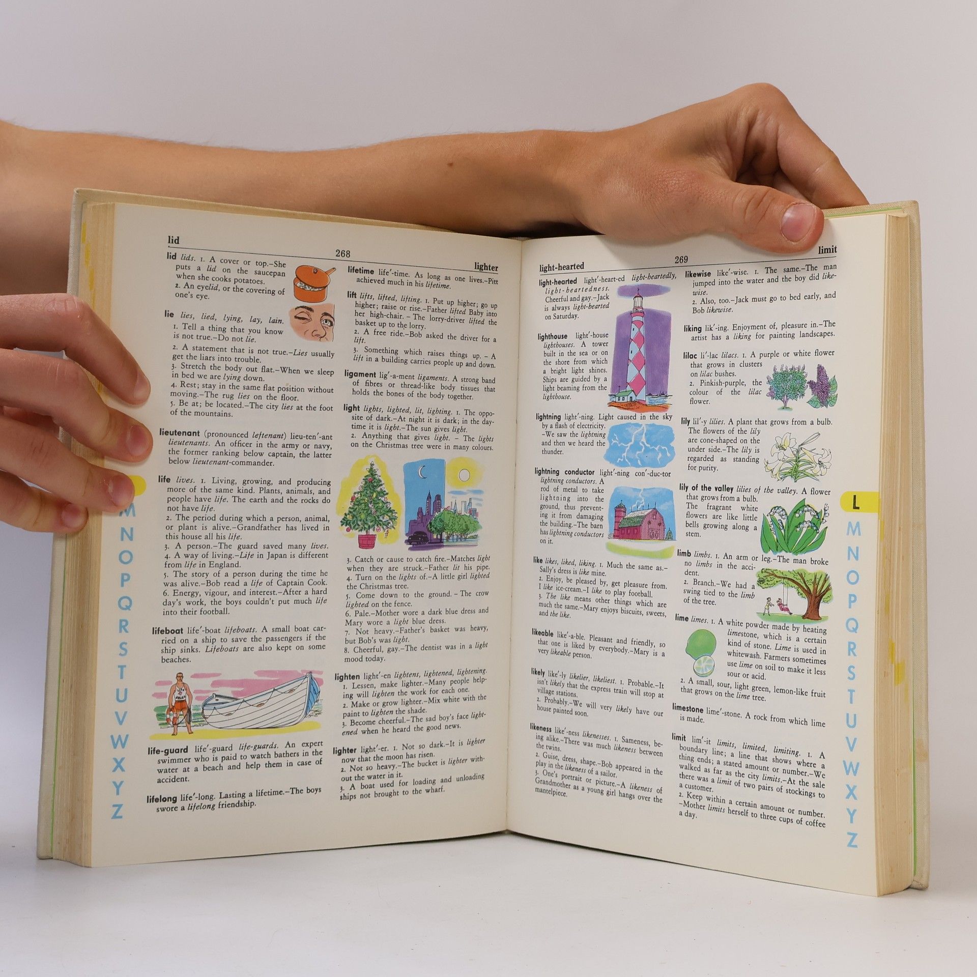 Stuart A. Courtis Giant All Colour Dictionary