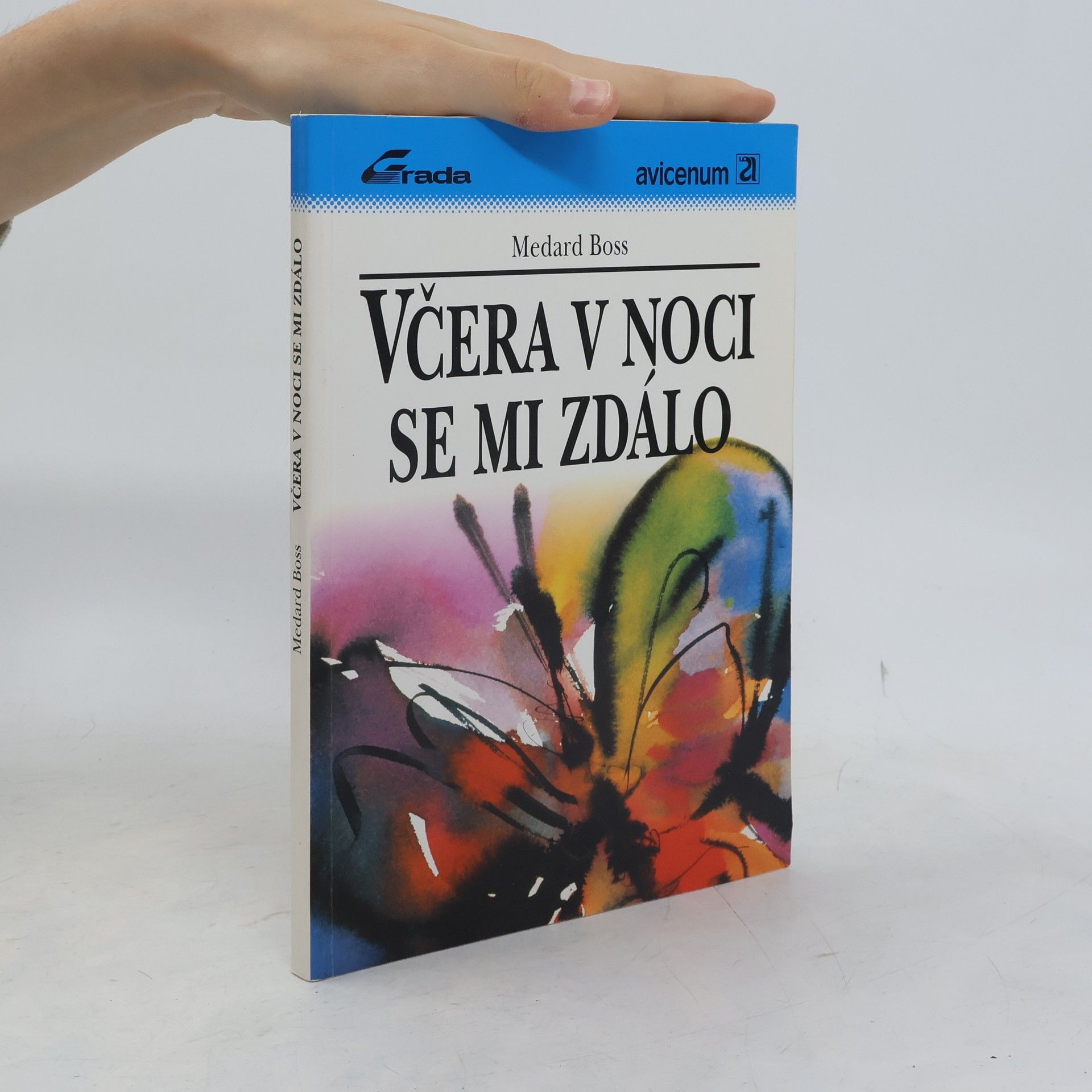 Včera v noci se mi zdálo