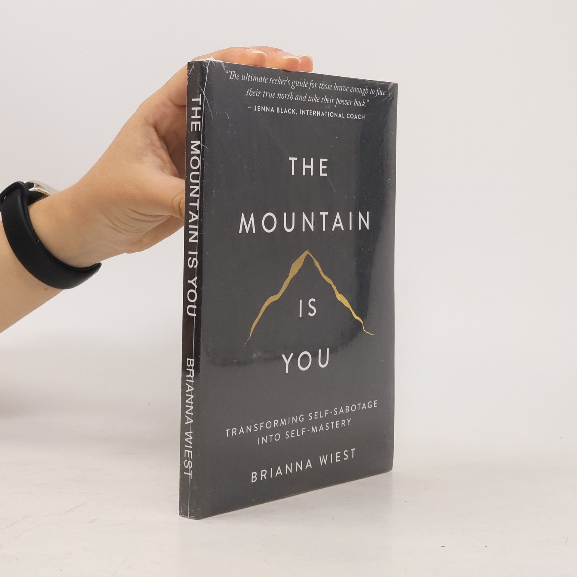 Brianna Wiest The Mountain Is You