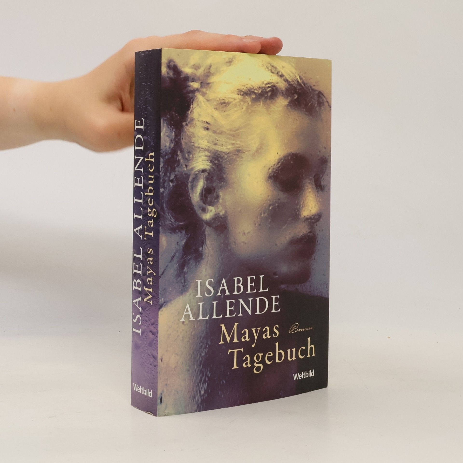 Isabel Allende Mayas Tagebuch
