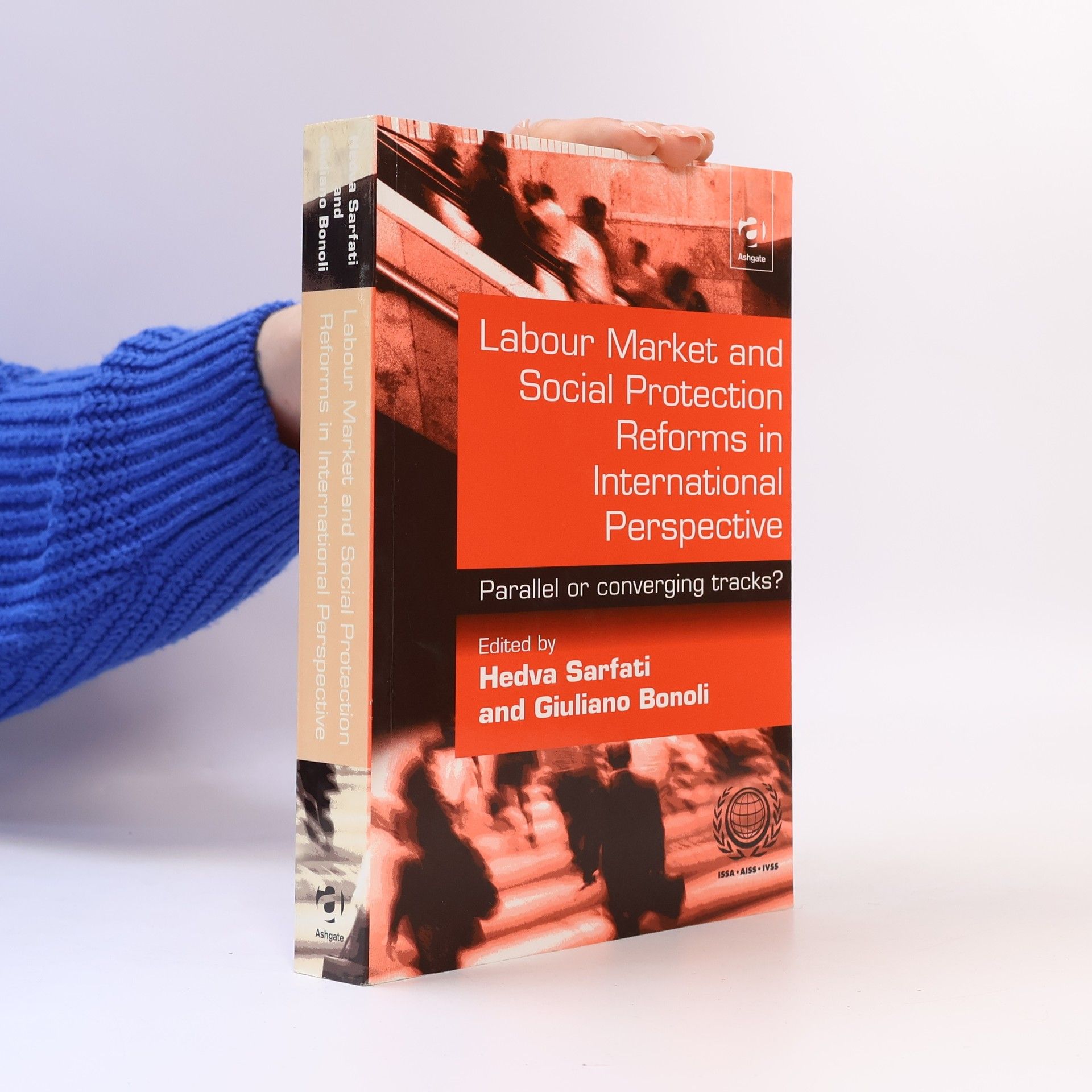 Hedva Sarfati Labour Market and Social Protection Reforms in International Perspective
