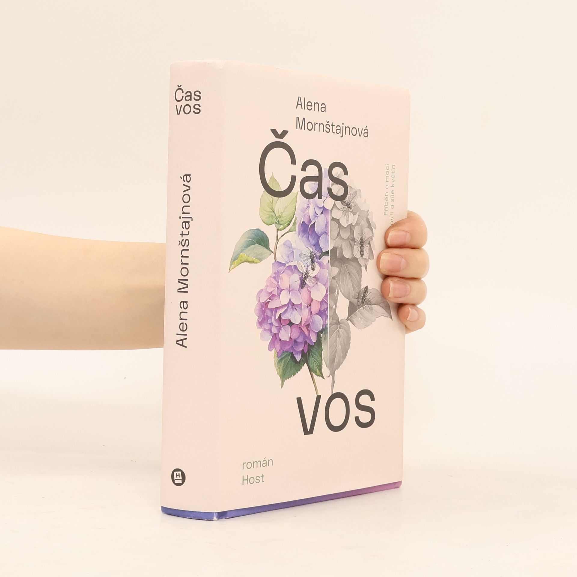 Alena Mornštajnová Čas vos
