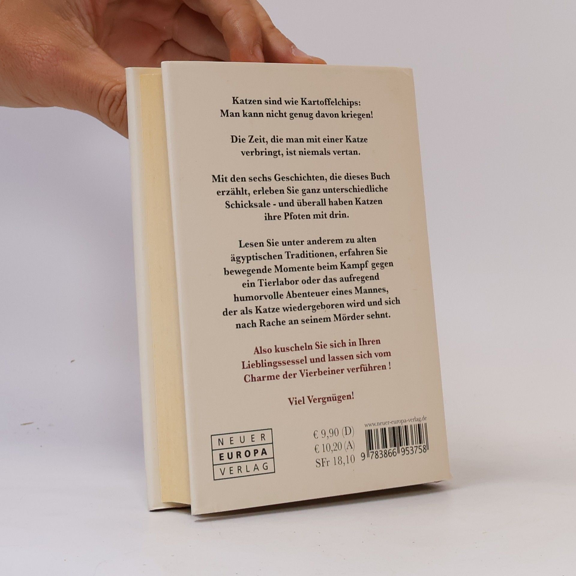 Das Kätzchen der heiligen Margret