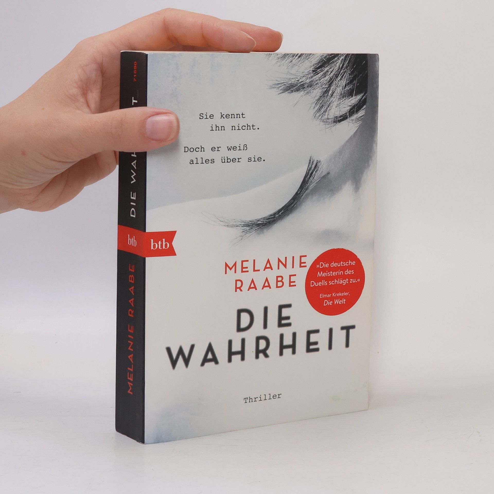 Melanie Raabe Die Wahrheit