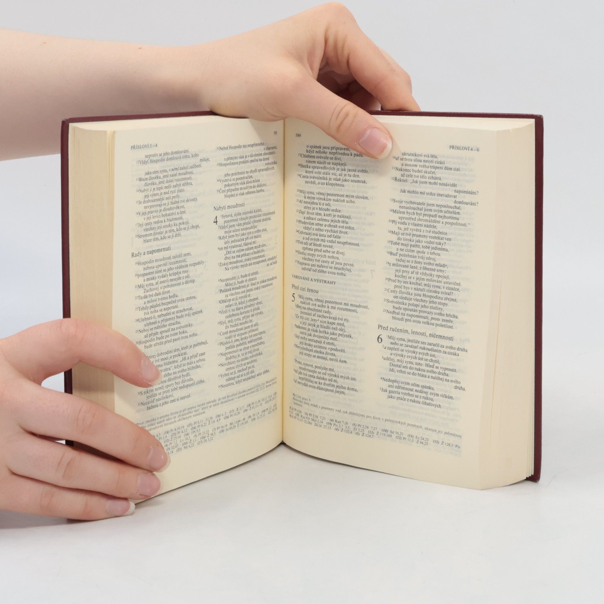 Autorenkollektiv Bible