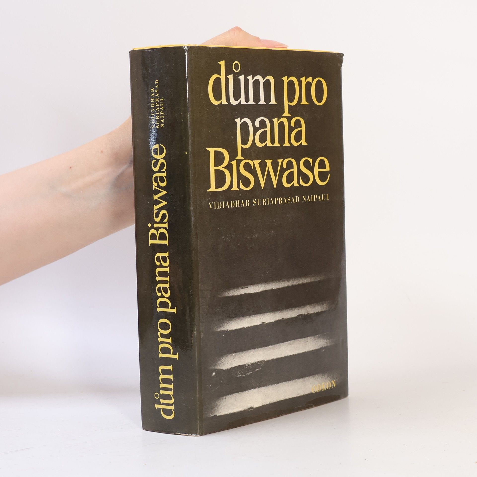 V. S. Naipaul Dům pro pana Biswase