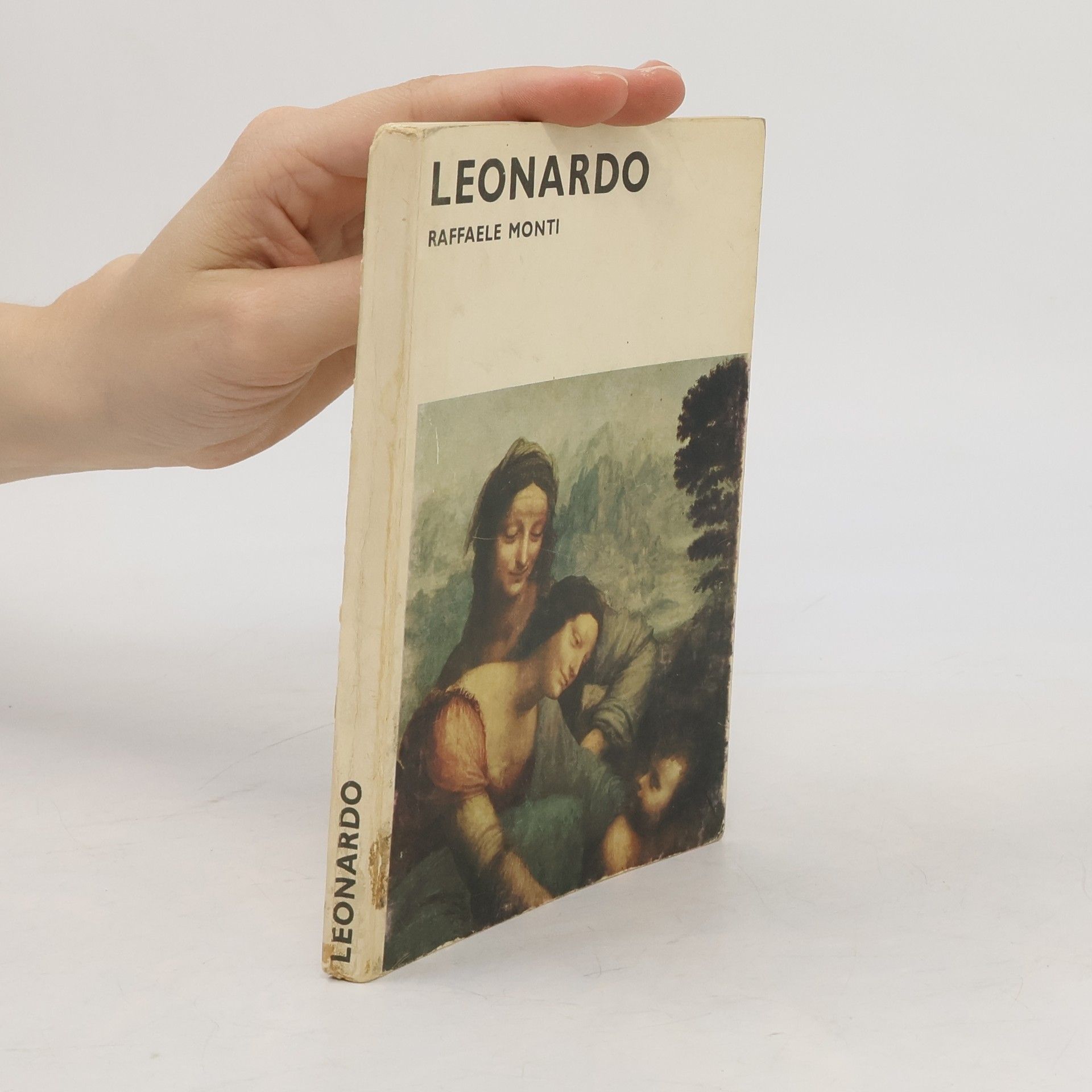 Rafael Monti Leonardo