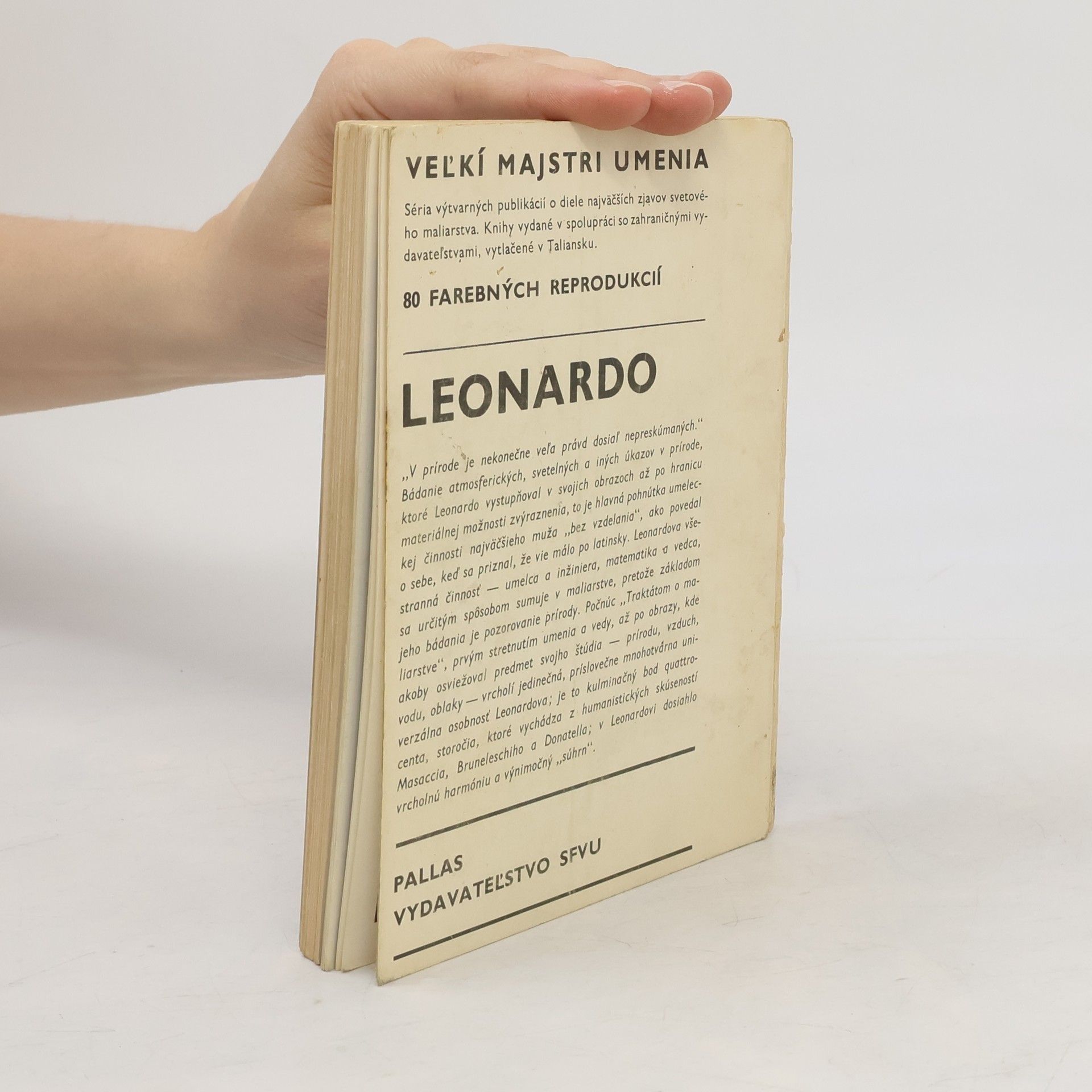 Rafael Monti Leonardo