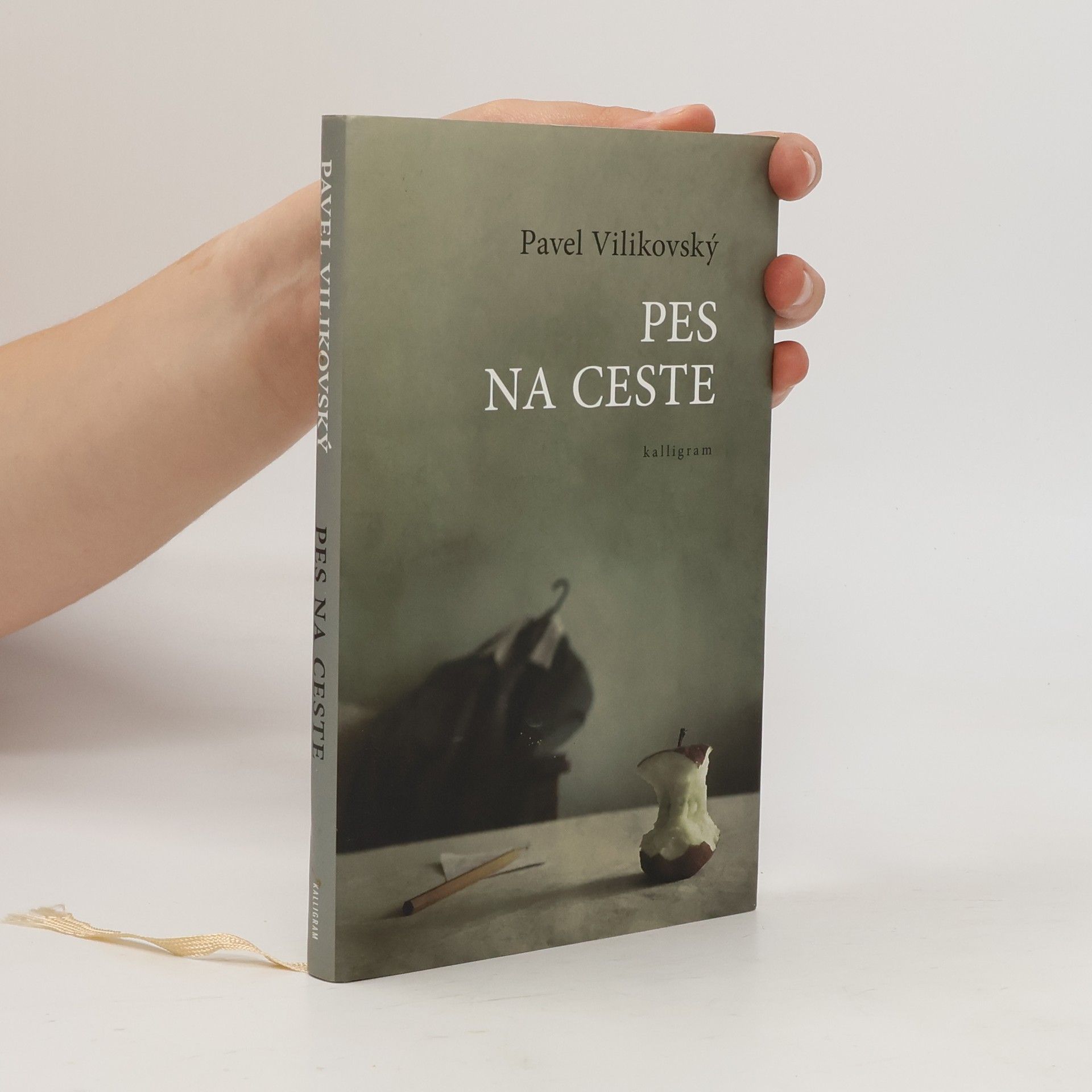Pavel Vilikovský Pes na ceste