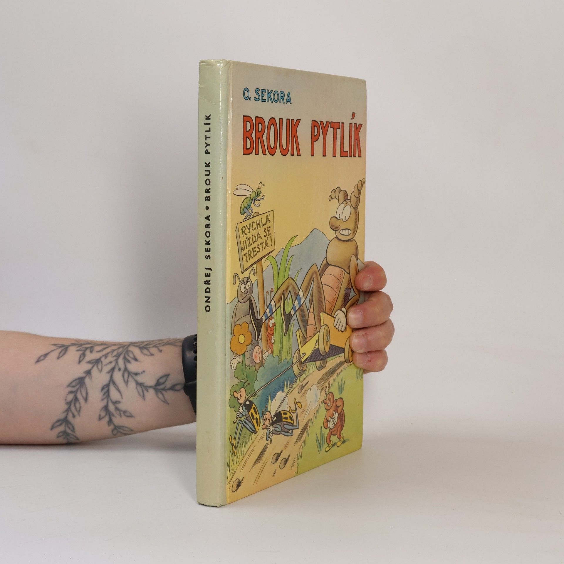 Ondřej Sekora Brouk Pytlík
