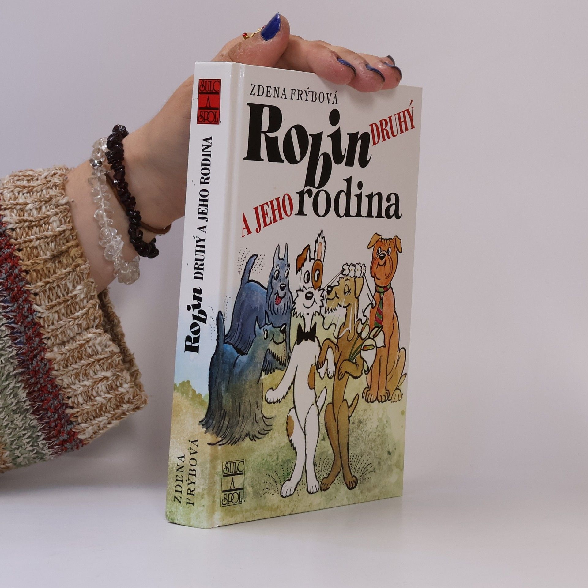 Zdena Frýbová Robin Druhý a jeho rodina
