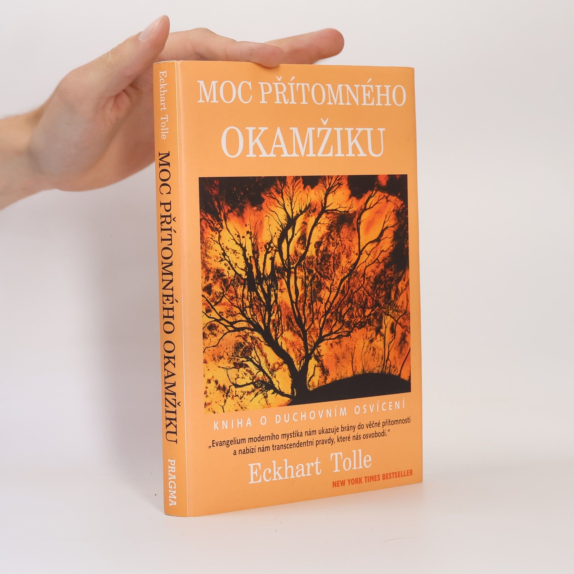 Eckhart Tolle Moc přítomného okamžiku