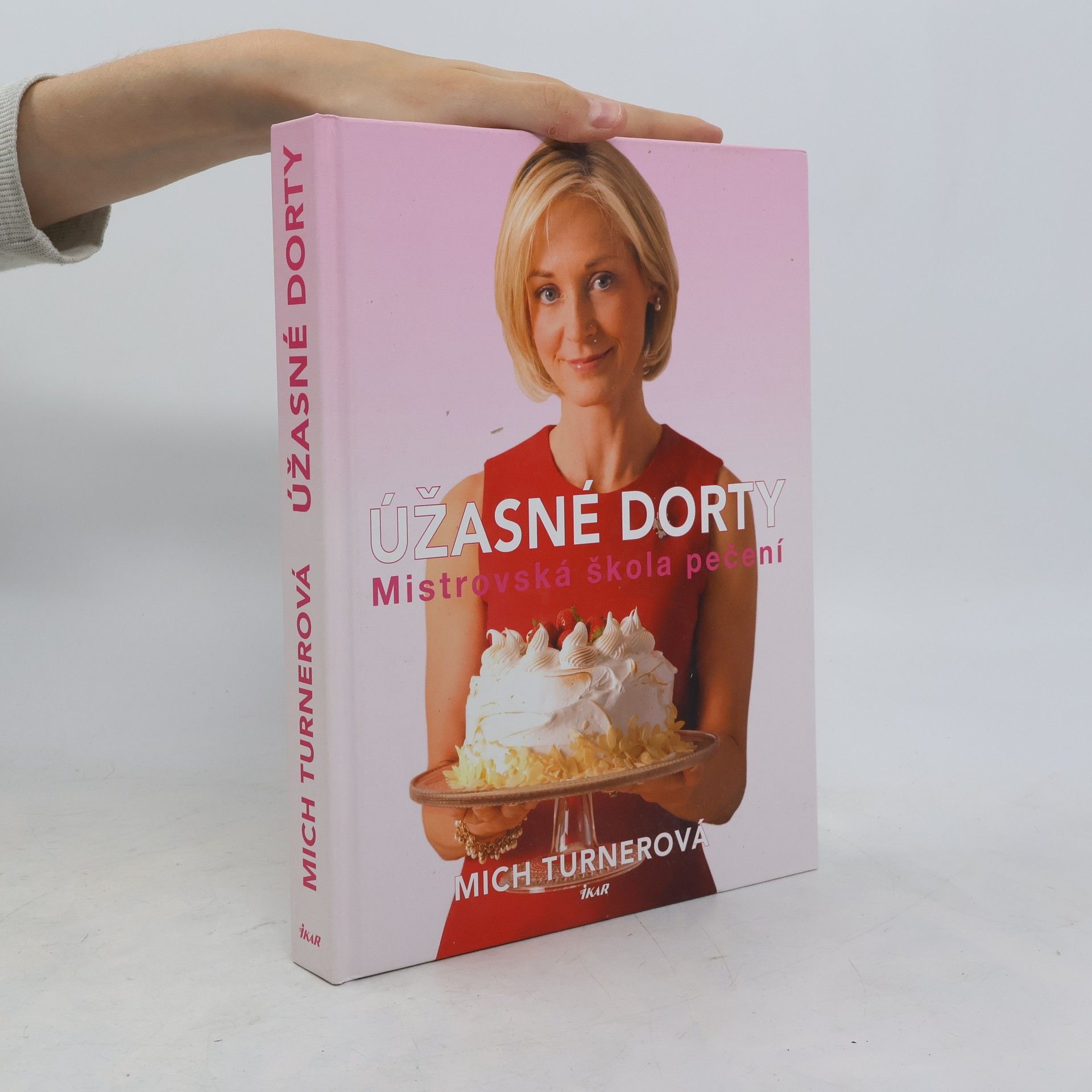 Mich Turner Úžasné dorty. Mistrovská škola pečení