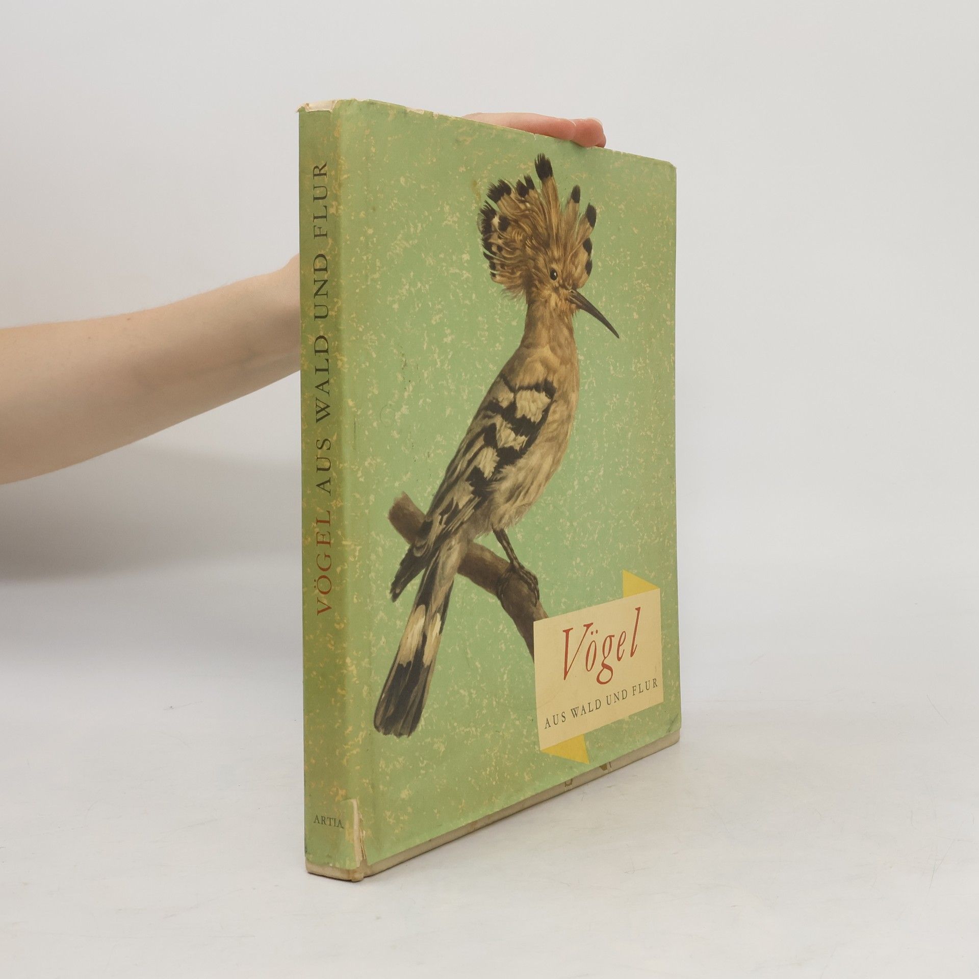 Vögel aus Wald und Flur