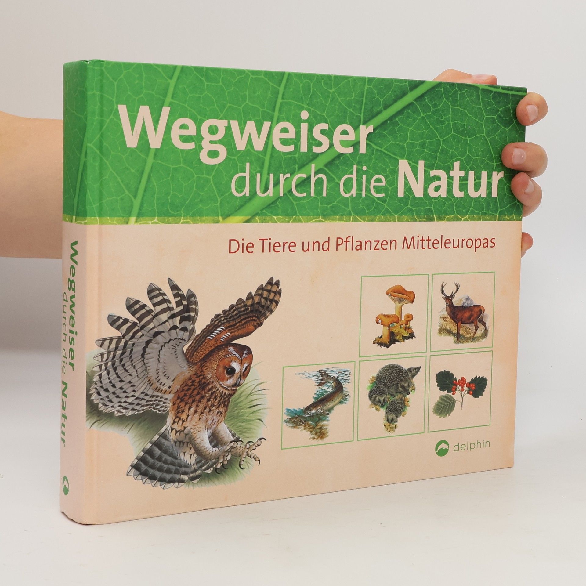 Autorenkollektiv Wegweiser durch die Natur