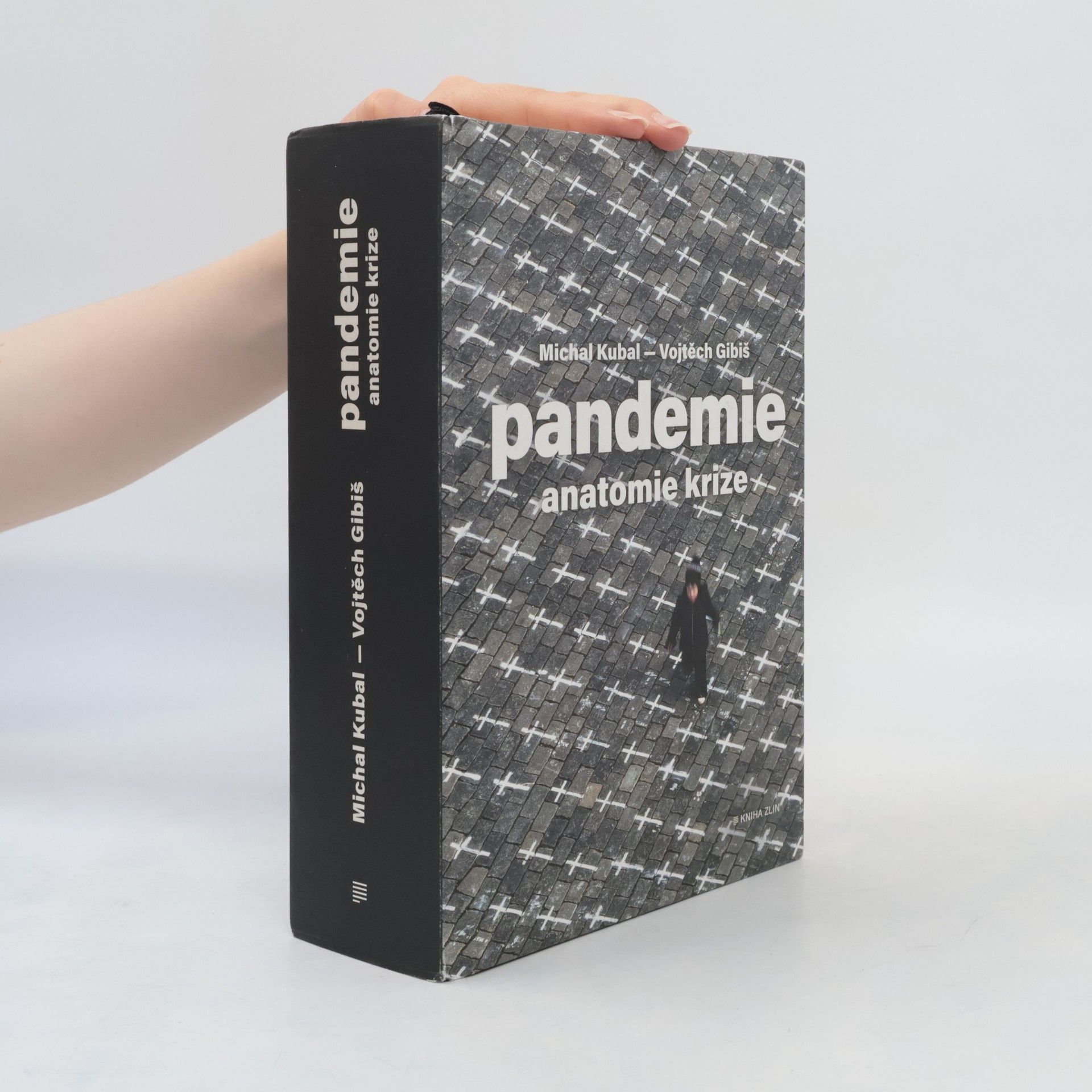 Vojtěch Gibiš Pandemie : anatomie krize