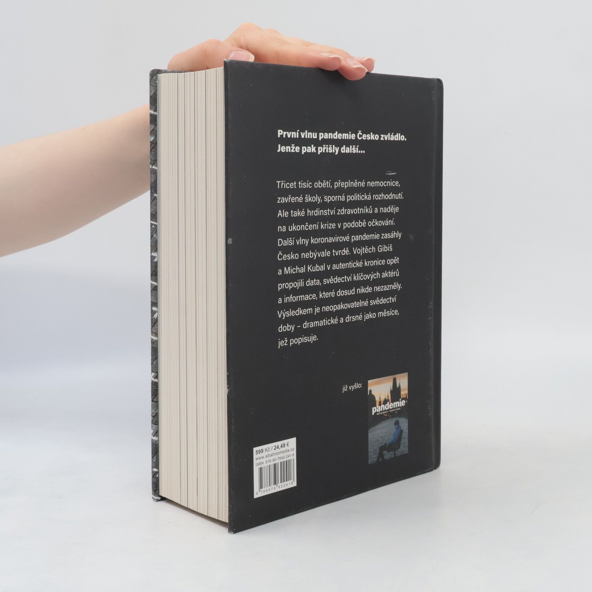 Michal Kubal Pandemie : anatomie krize
