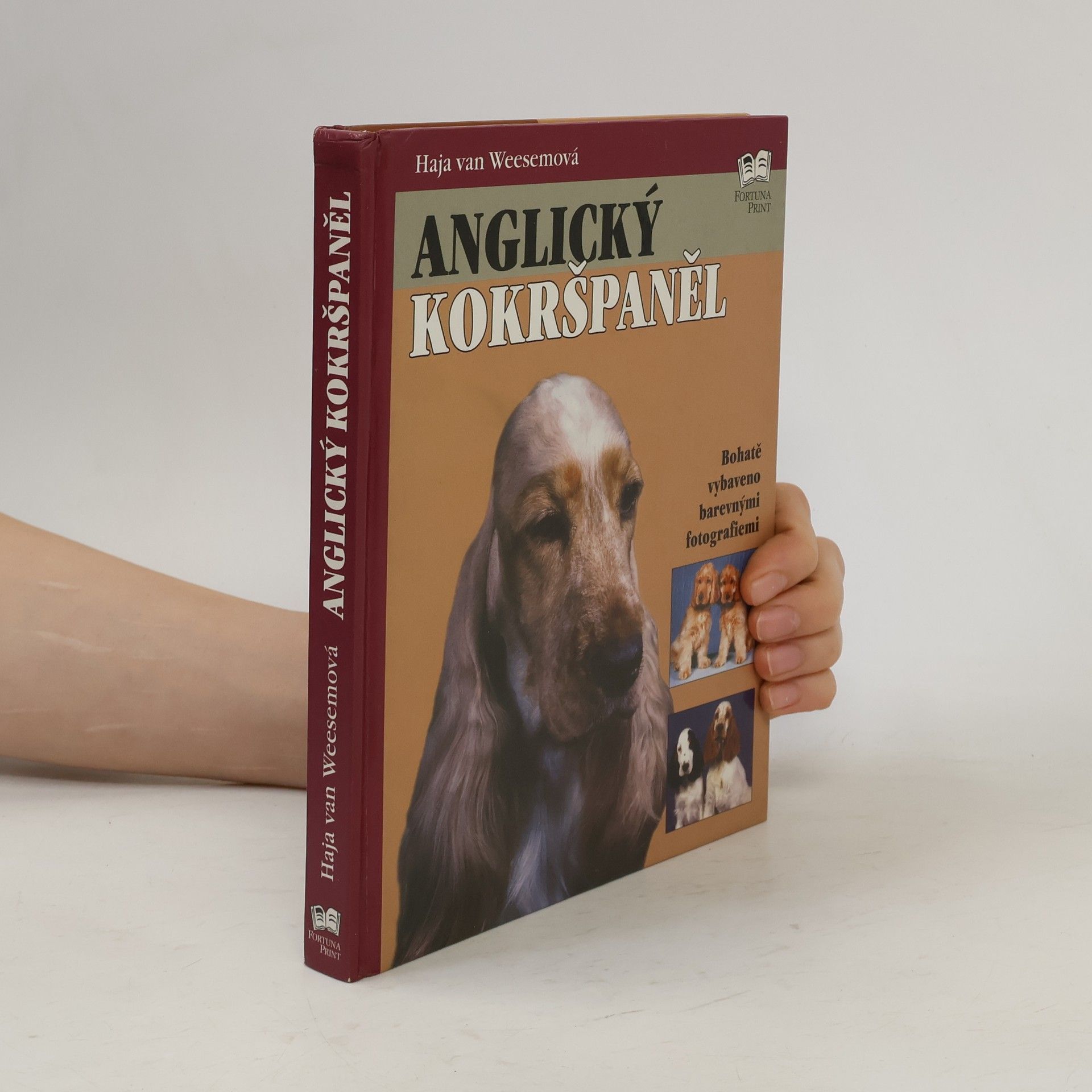 Anglický kokršpaněl