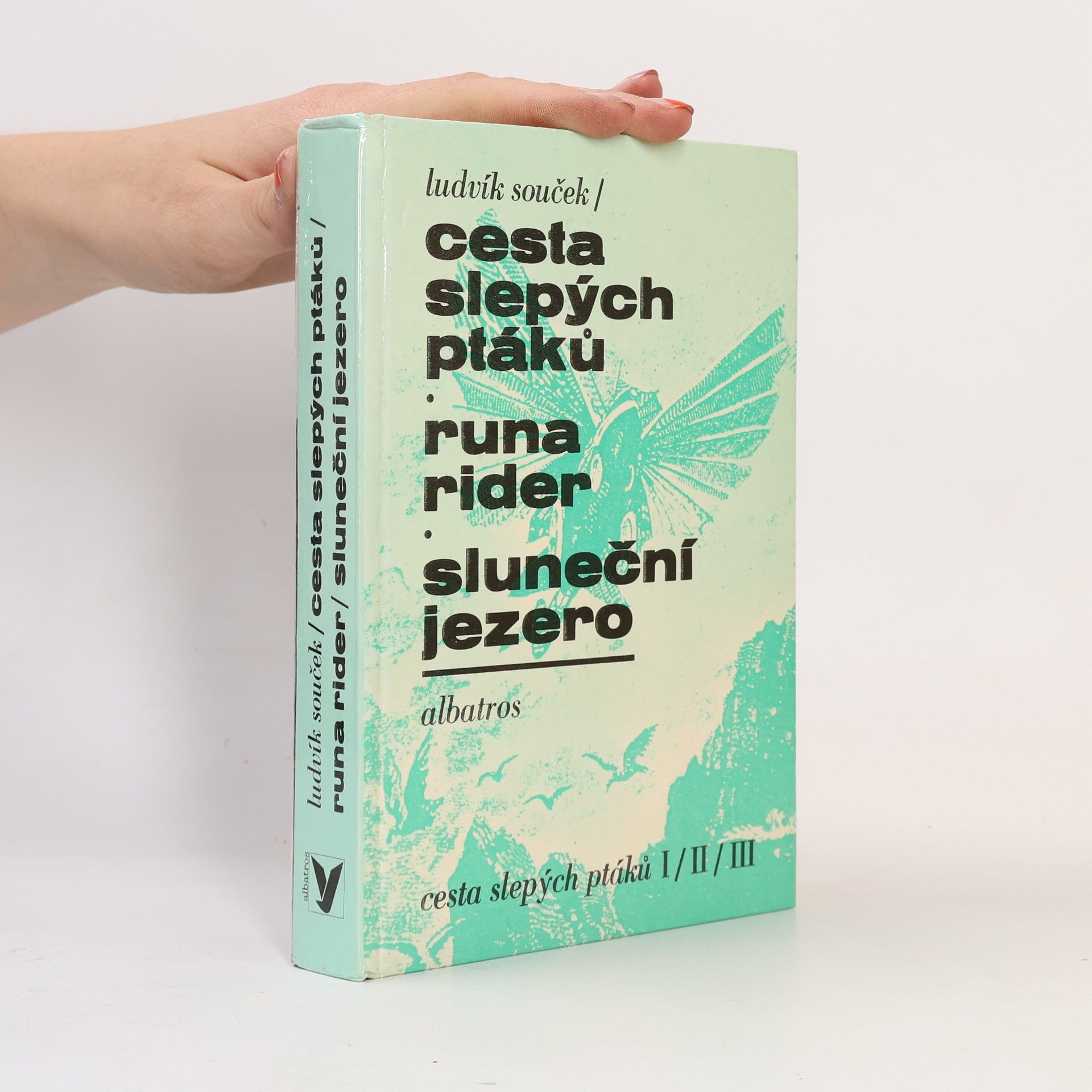 Ludvík Souček Cesta slepých ptáků. Runa rider. Sluneční jezero