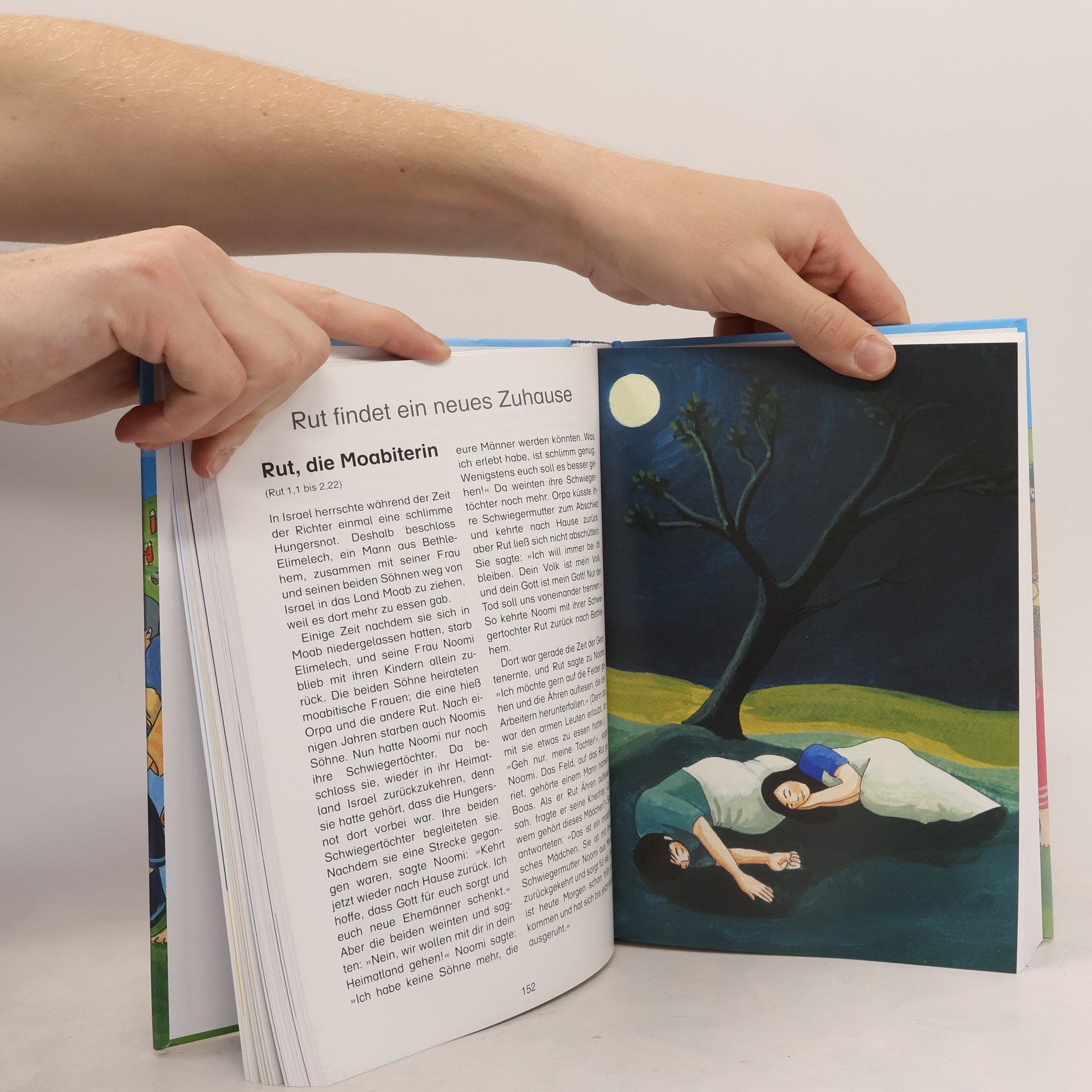 Martina Merckel-Braun Elberfelder Kinderbibel
