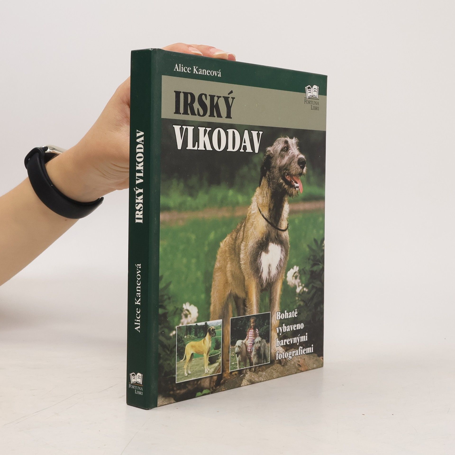 Alice Kane Irský vlkodav