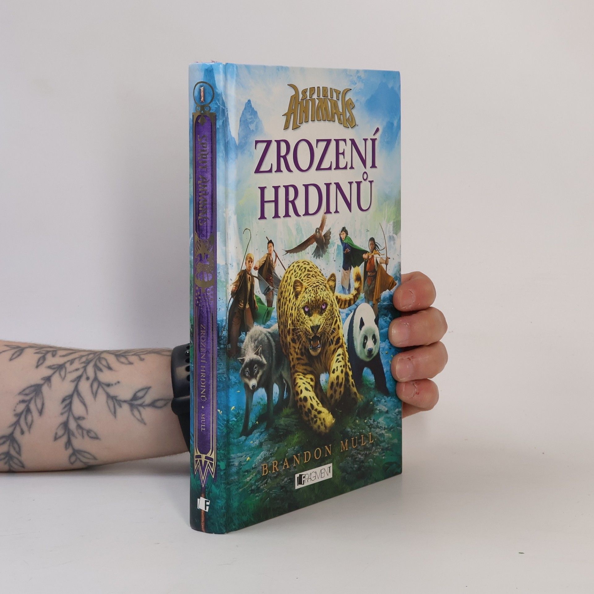 Brandon Mull Zrození hrdinů