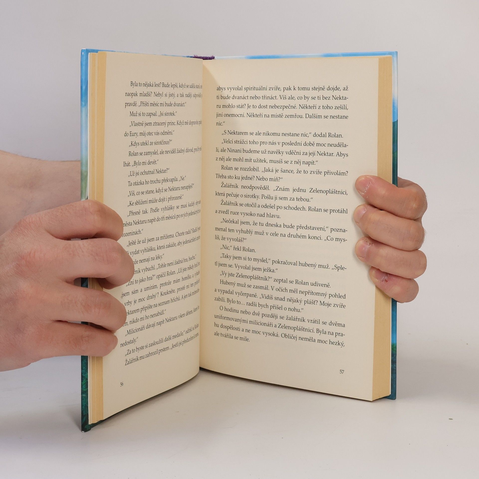 Brandon Mull Zrození hrdinů