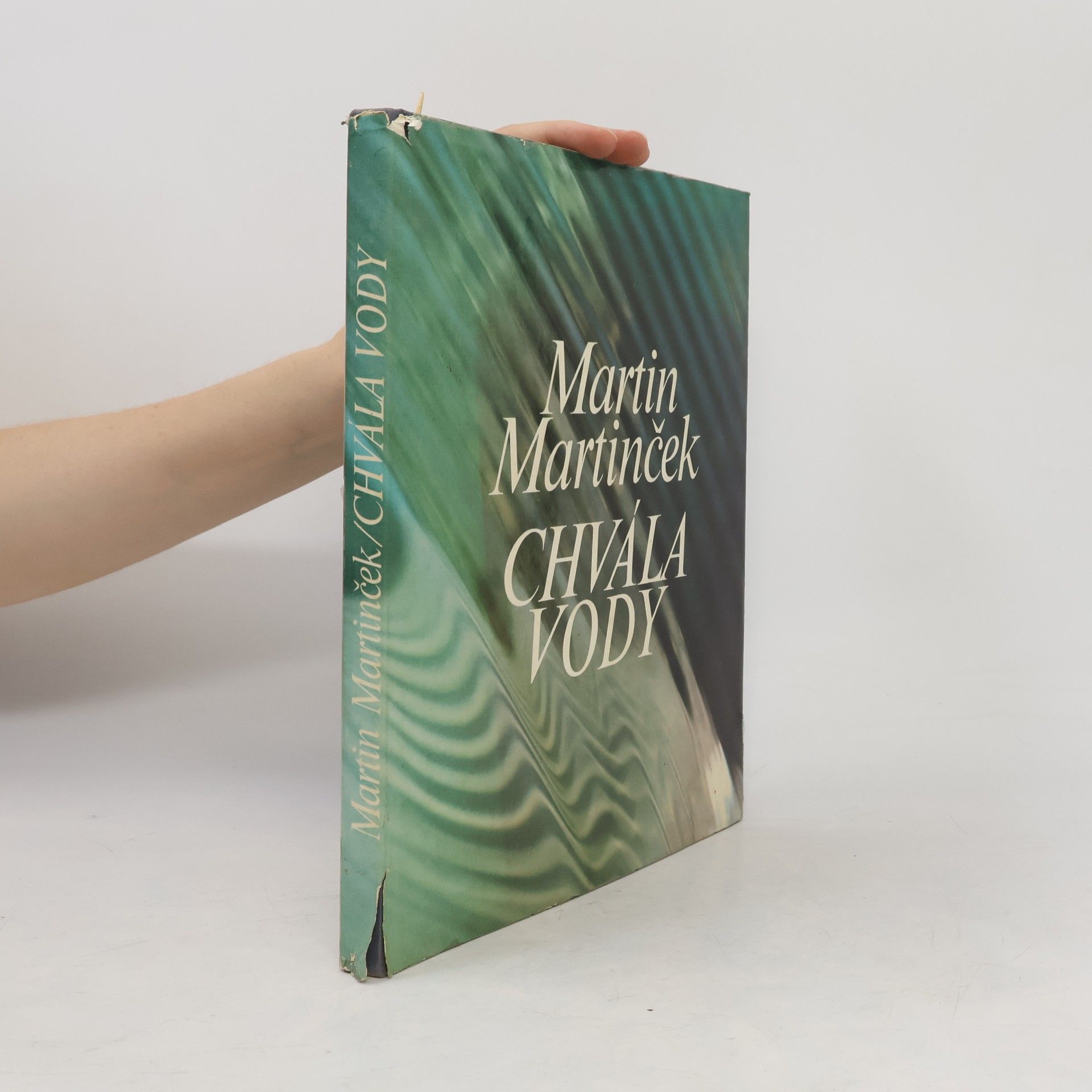 Martin Martinček Chvála vody