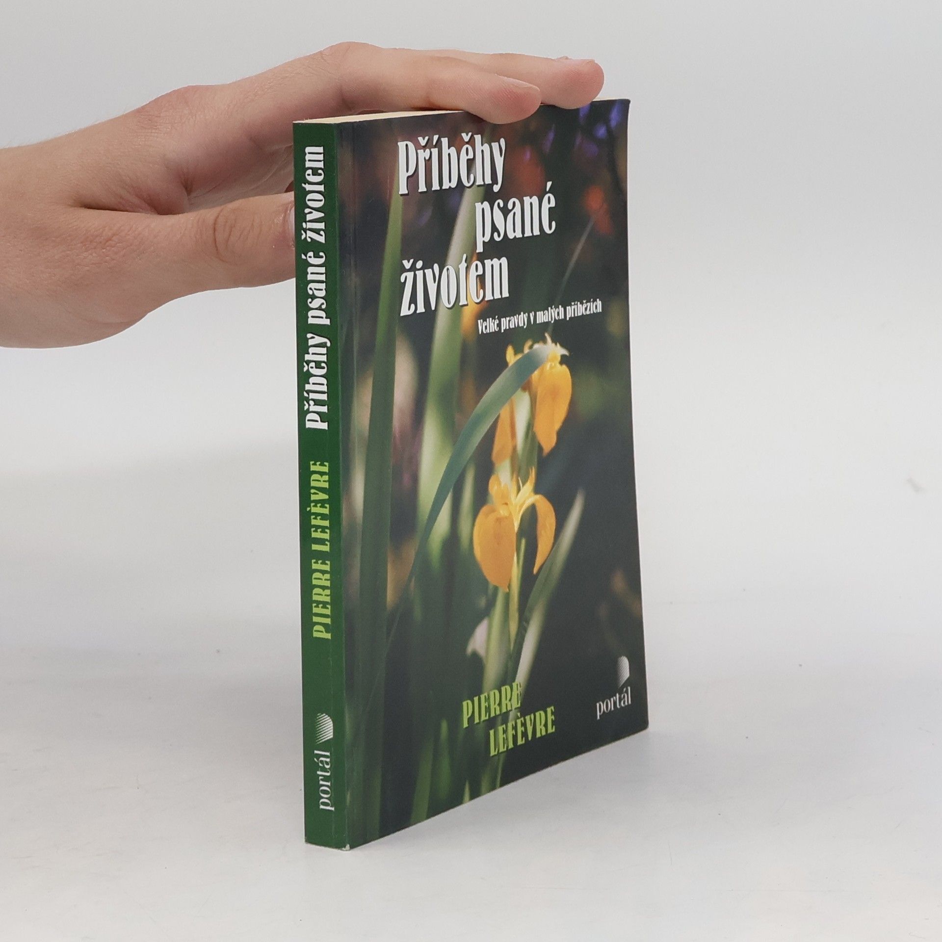 Pierre Lefèvre Příběhy psané životem. Velké pravdy v malých příbězích