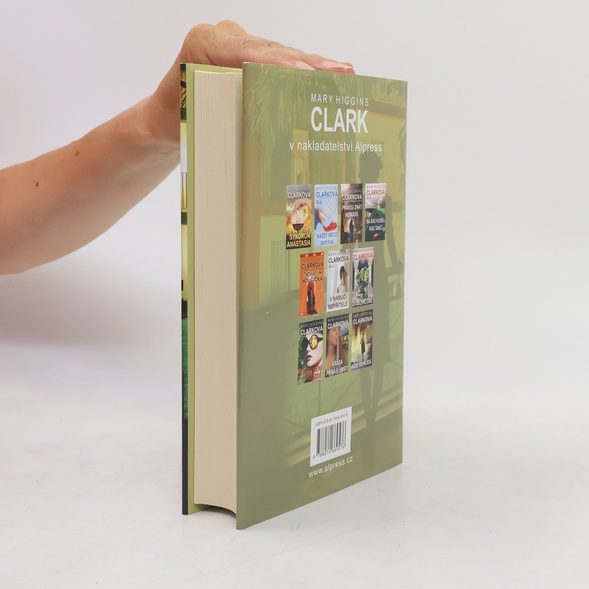 Mary Higgins Clark V podezření