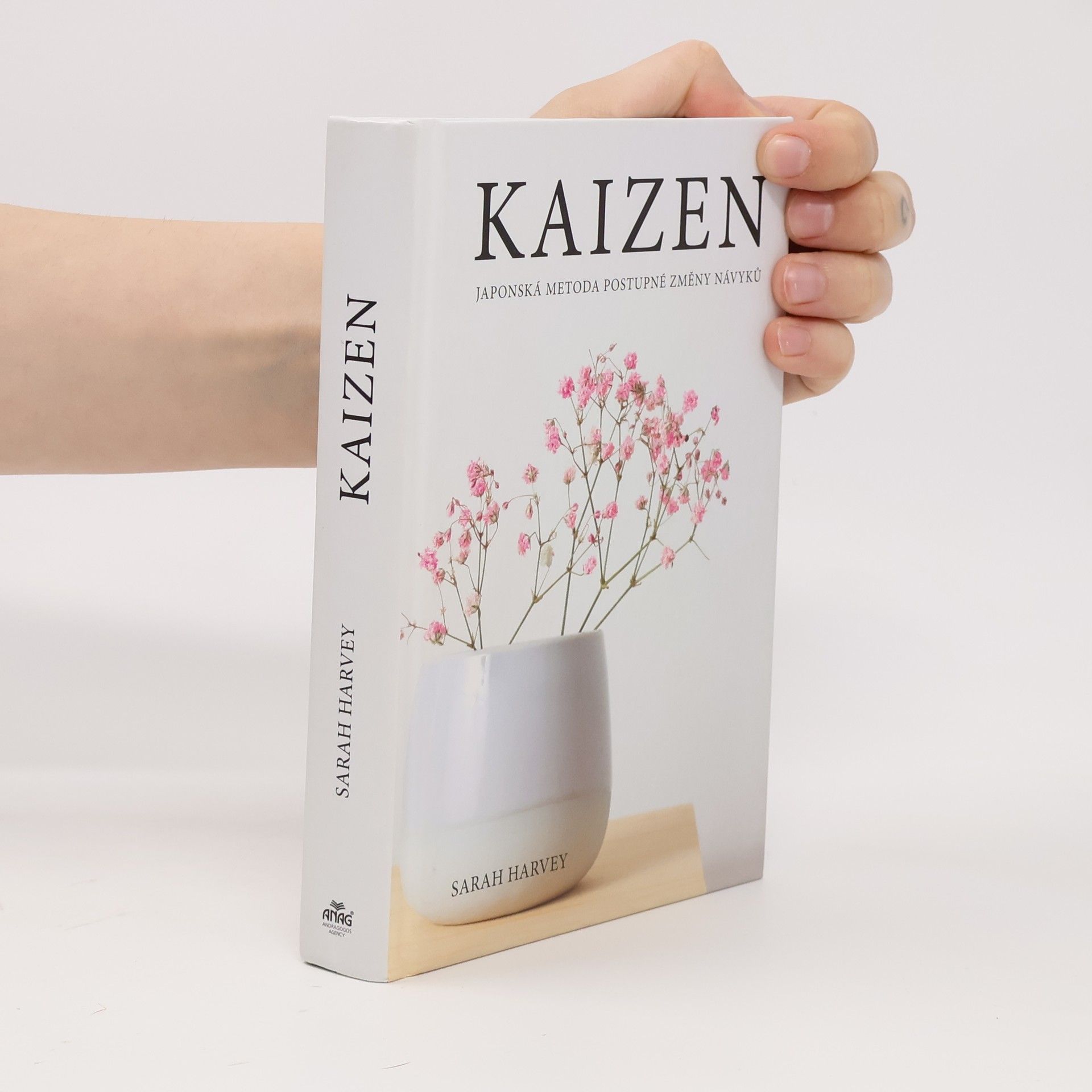 Sarah Harvey Kaizen: Japonská metoda postupné změny návyků