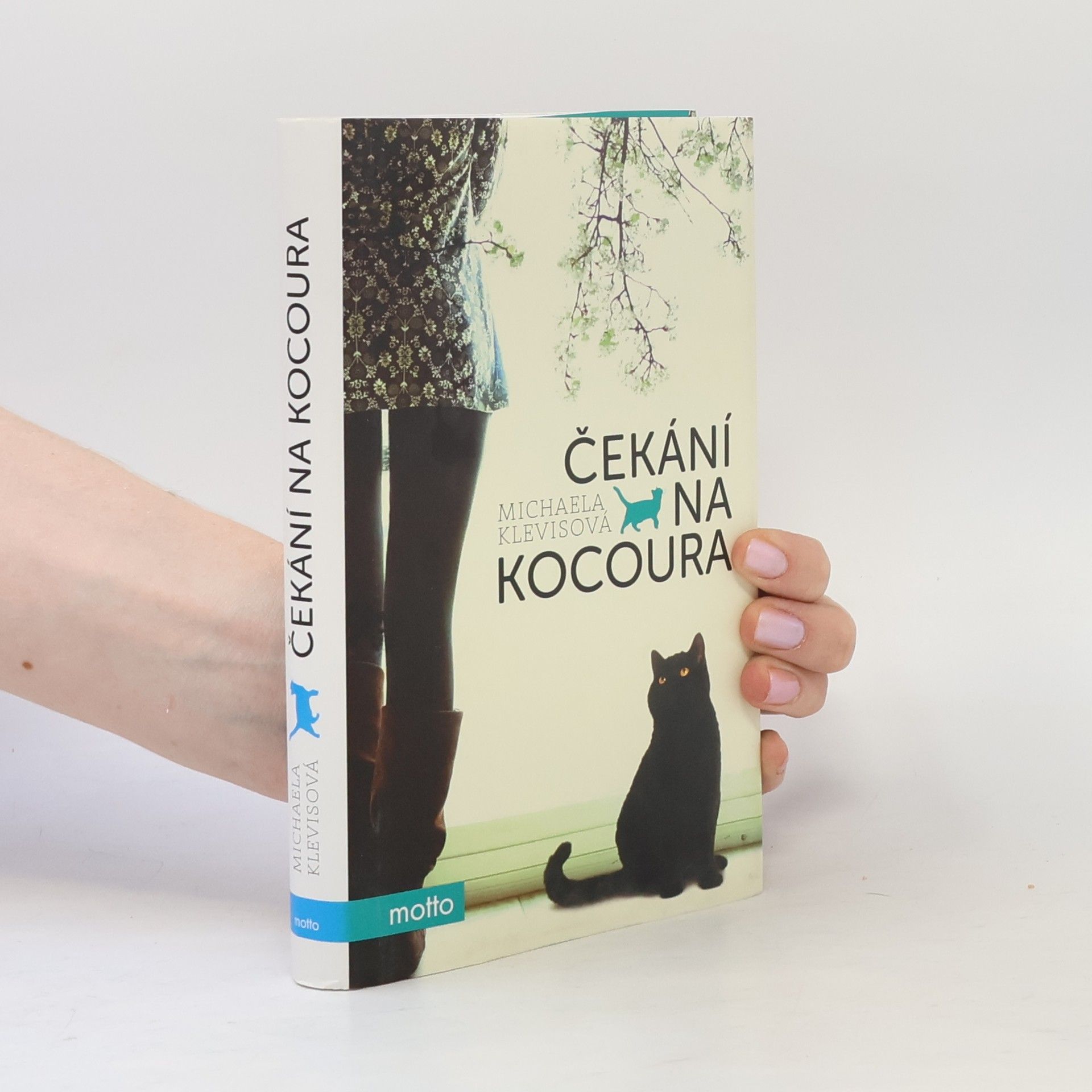 Čekání na kocoura: Příběhy o kočkách a jejich lidech