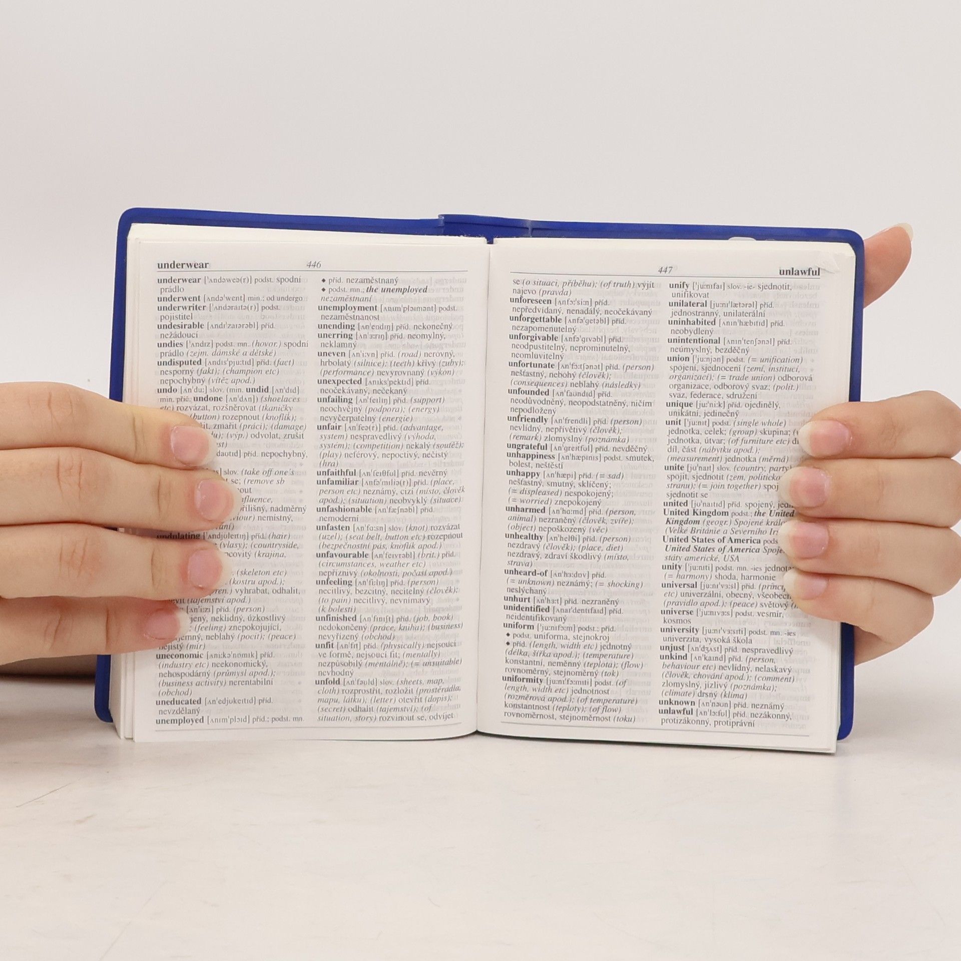 Autorenkollektiv Kapesní slovník anglicko-český, Česko-anglický