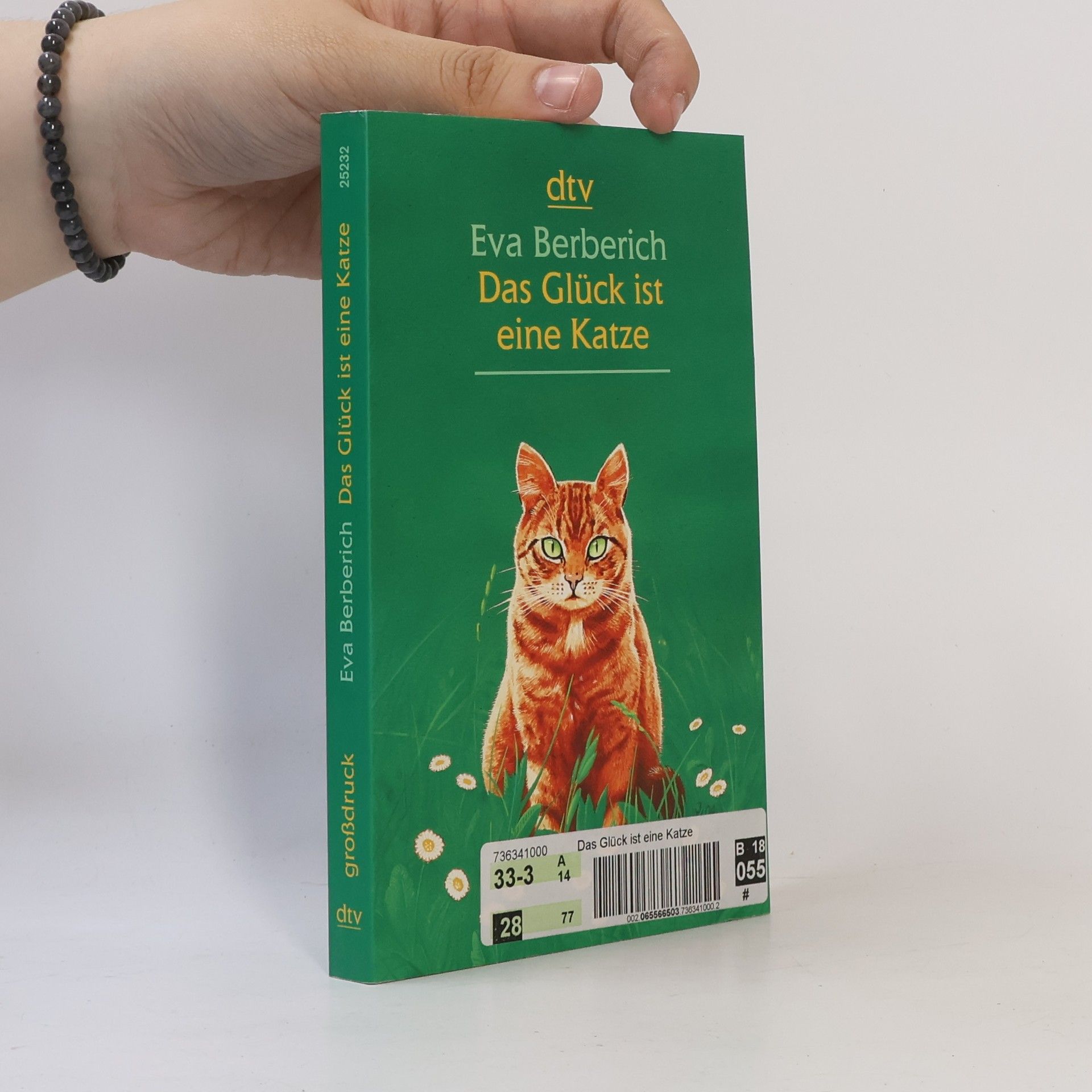 Eva Berberich Das Glück ist eine Katze