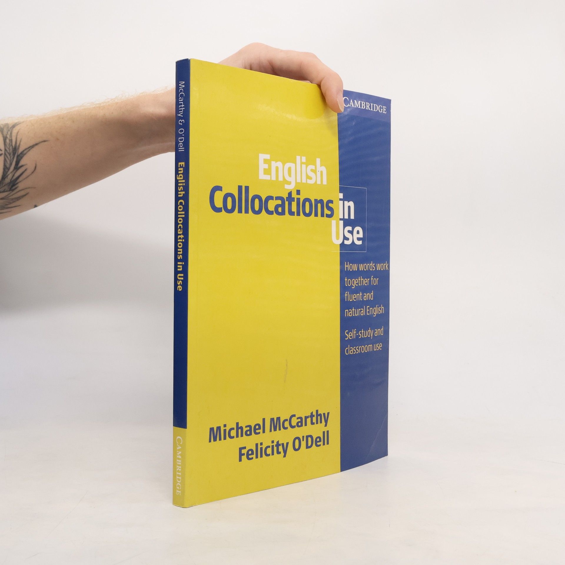 Michael McCarthy English collocations in use