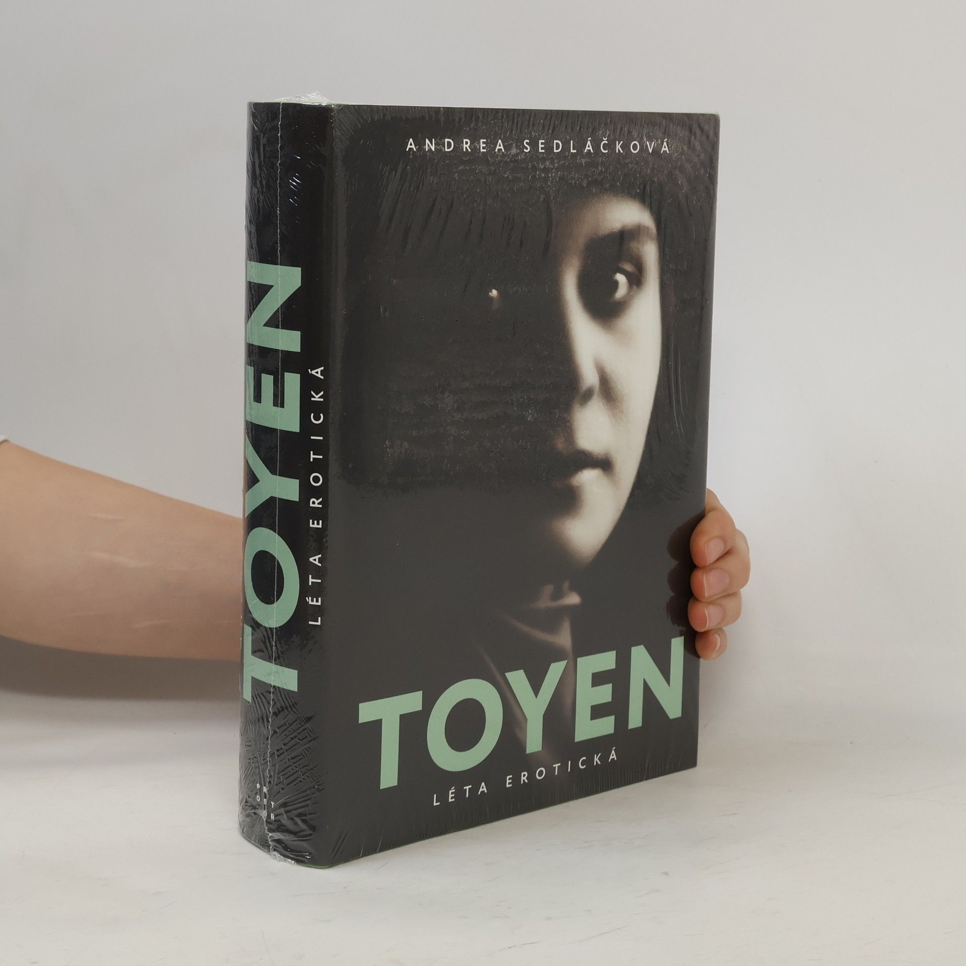 Toyen: Léta erotická