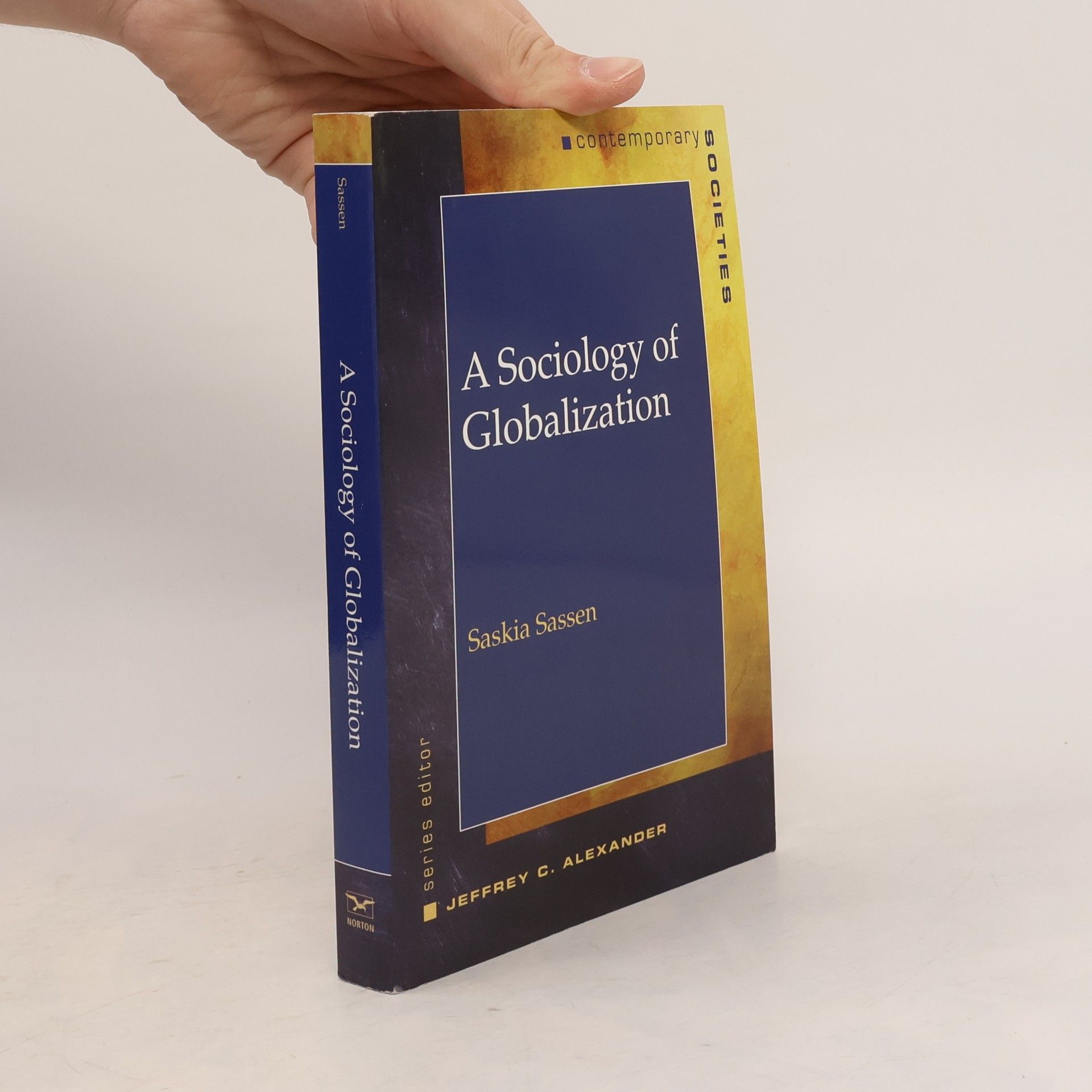Saskia Sassen A Sociology of Globalization