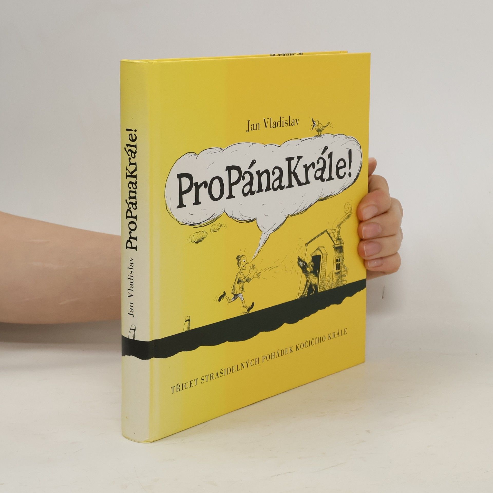 ProPánaKrále! : [třicet strašidelných pohádek kočičího krále]
