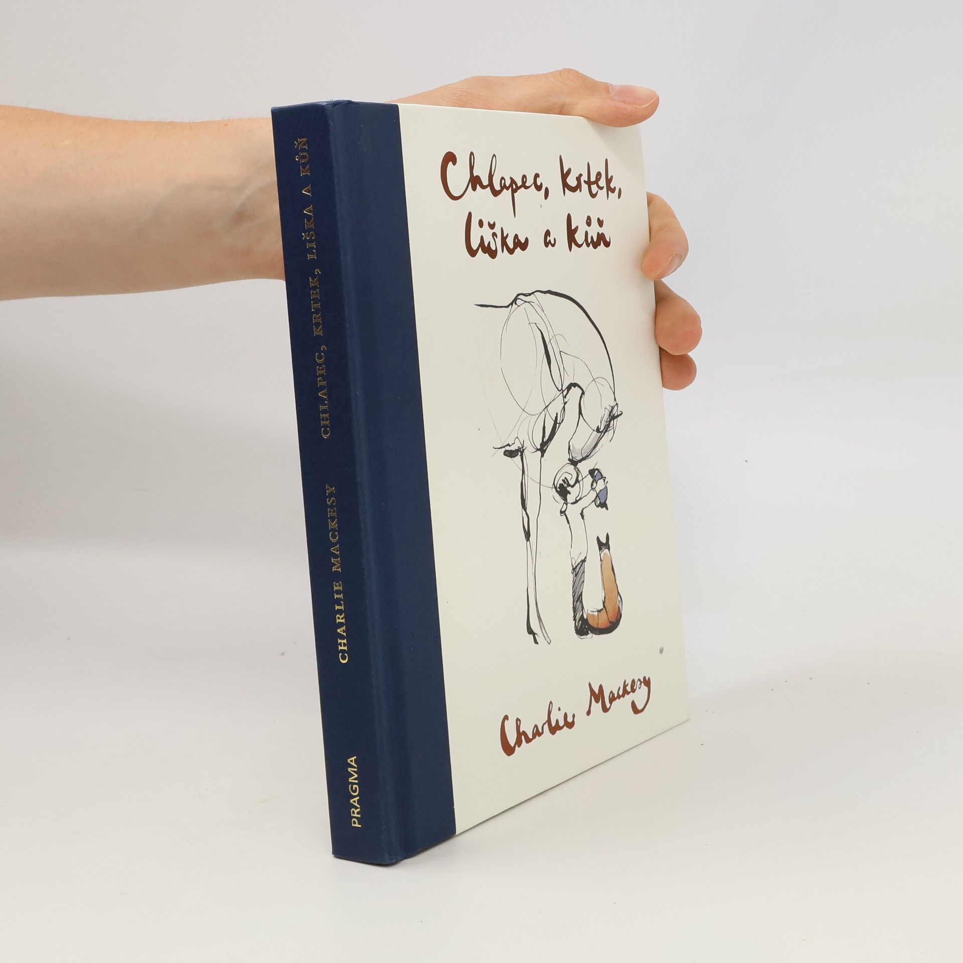 Charlie Mackesy Chlapec, krtek, liška a kůň