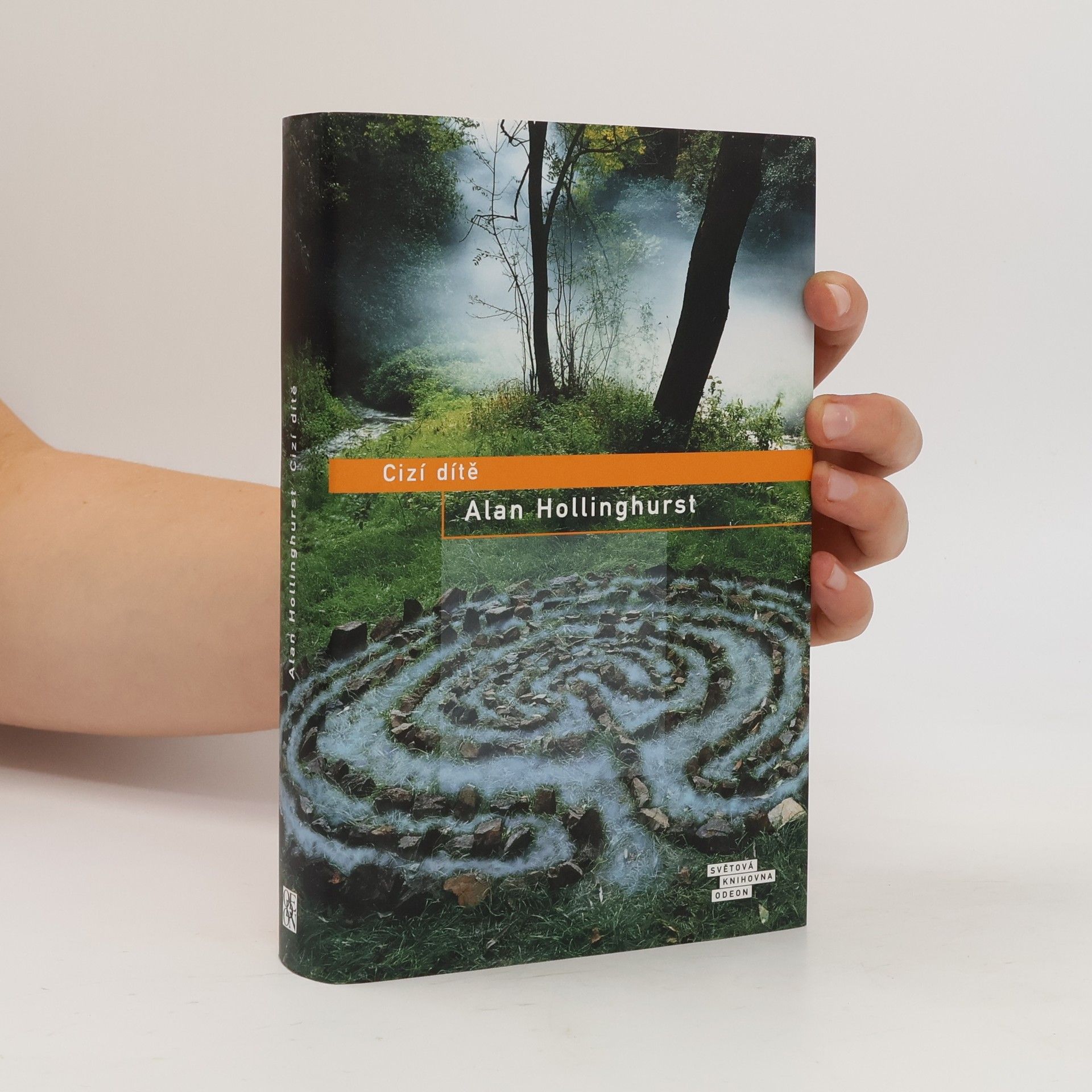 Alan Hollinghurst Cizí dítě