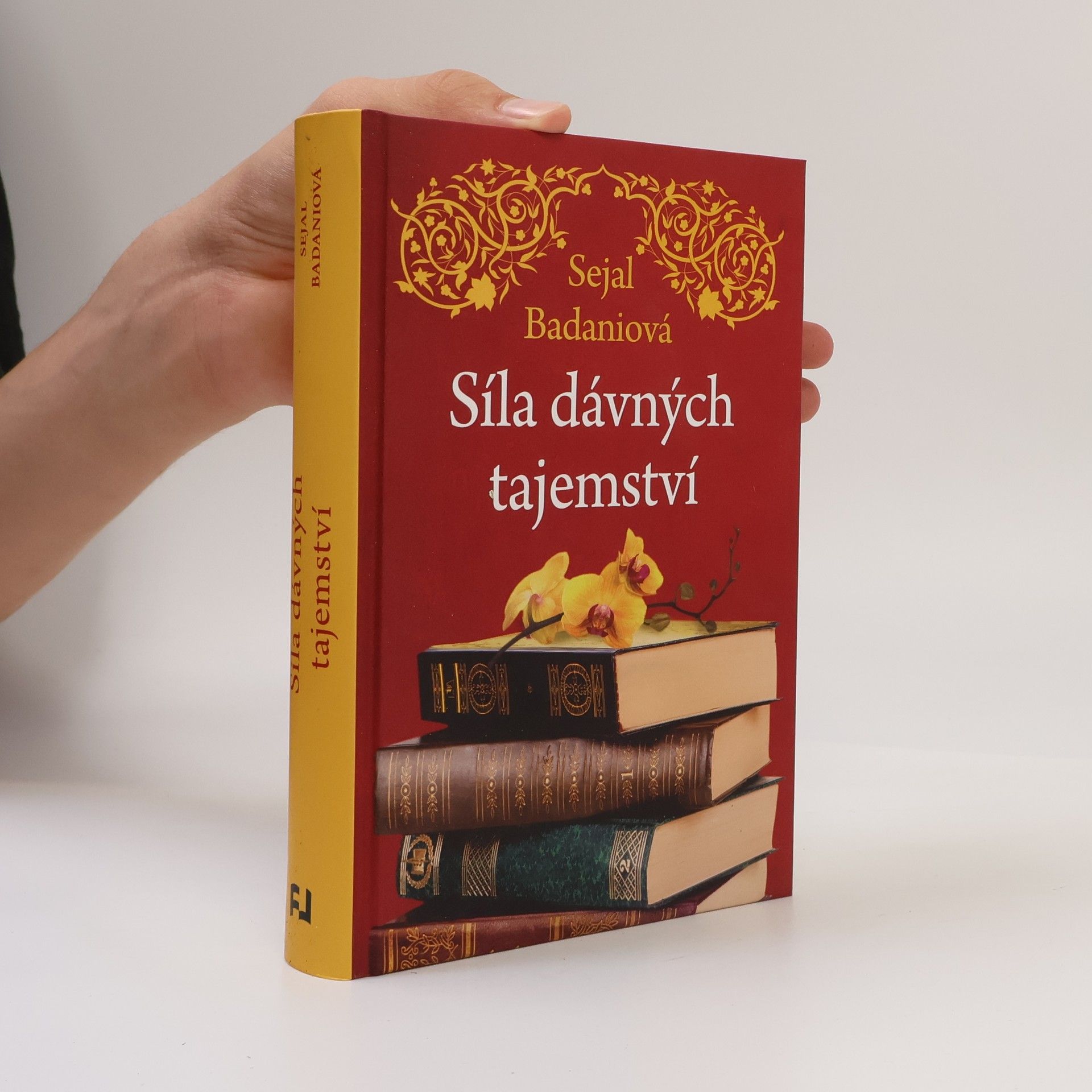 Sejal Badani Síla dávných tajemství