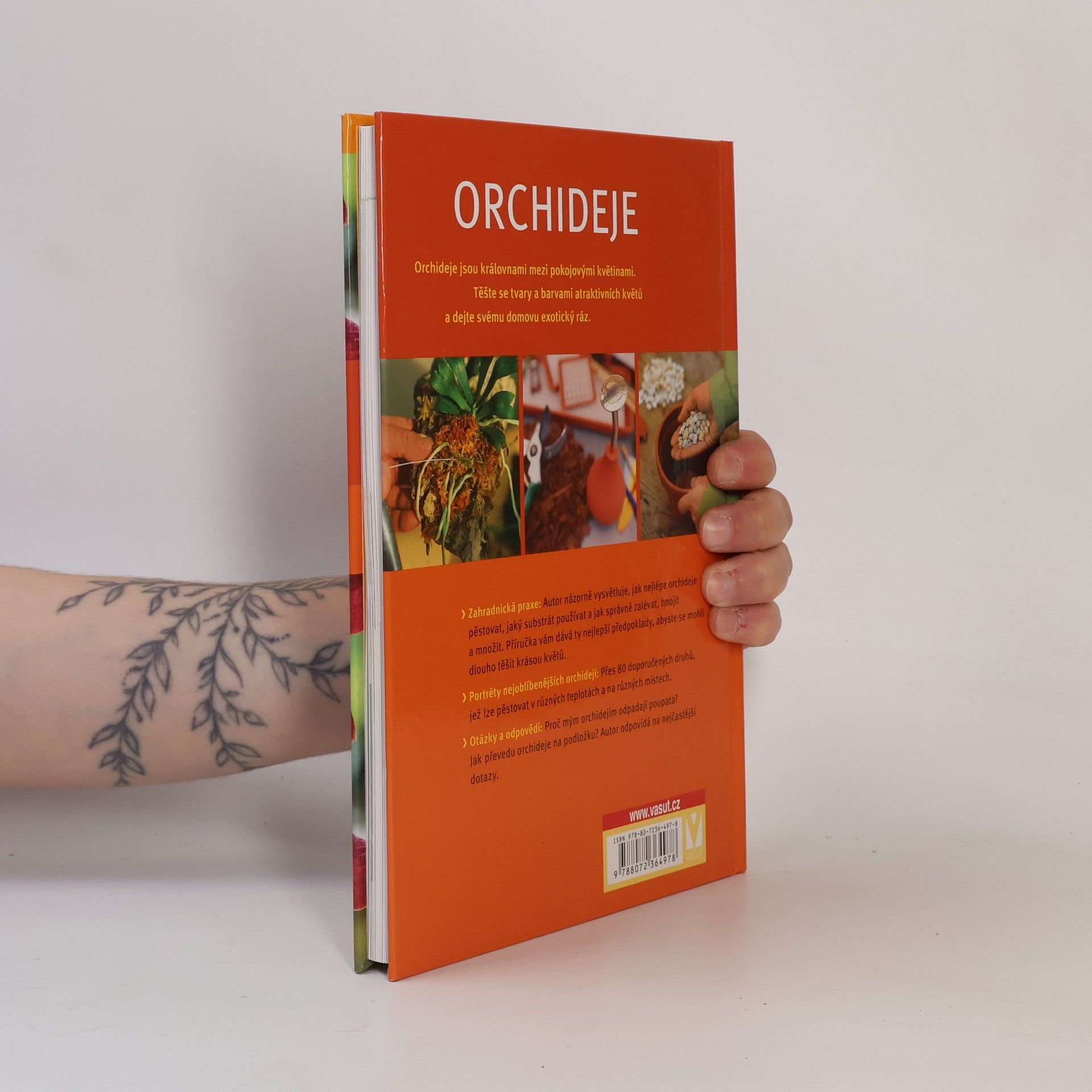 Frank Rolke Orchideje. Krok za krokem k exotické nádheře